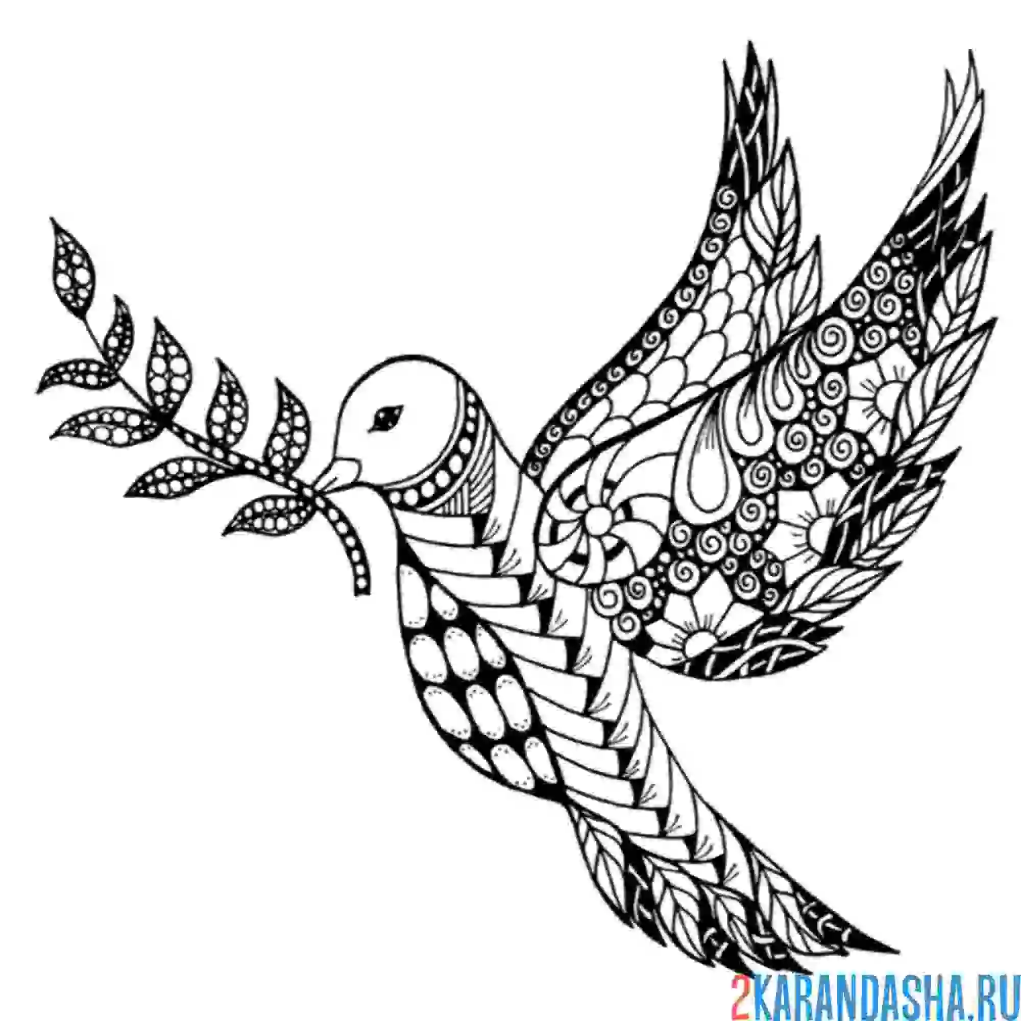 Раскраска голубь антистресс с веточкой