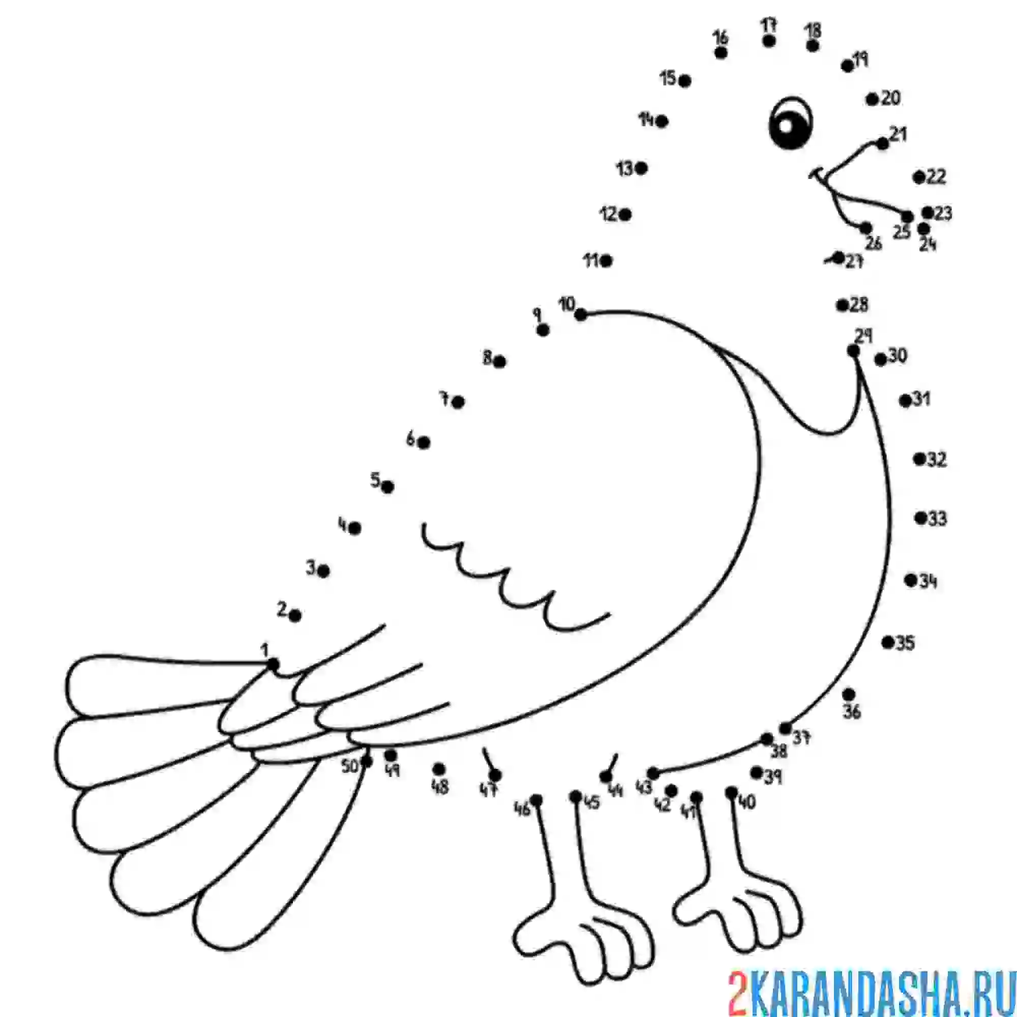 Раскраска голубь по точкам