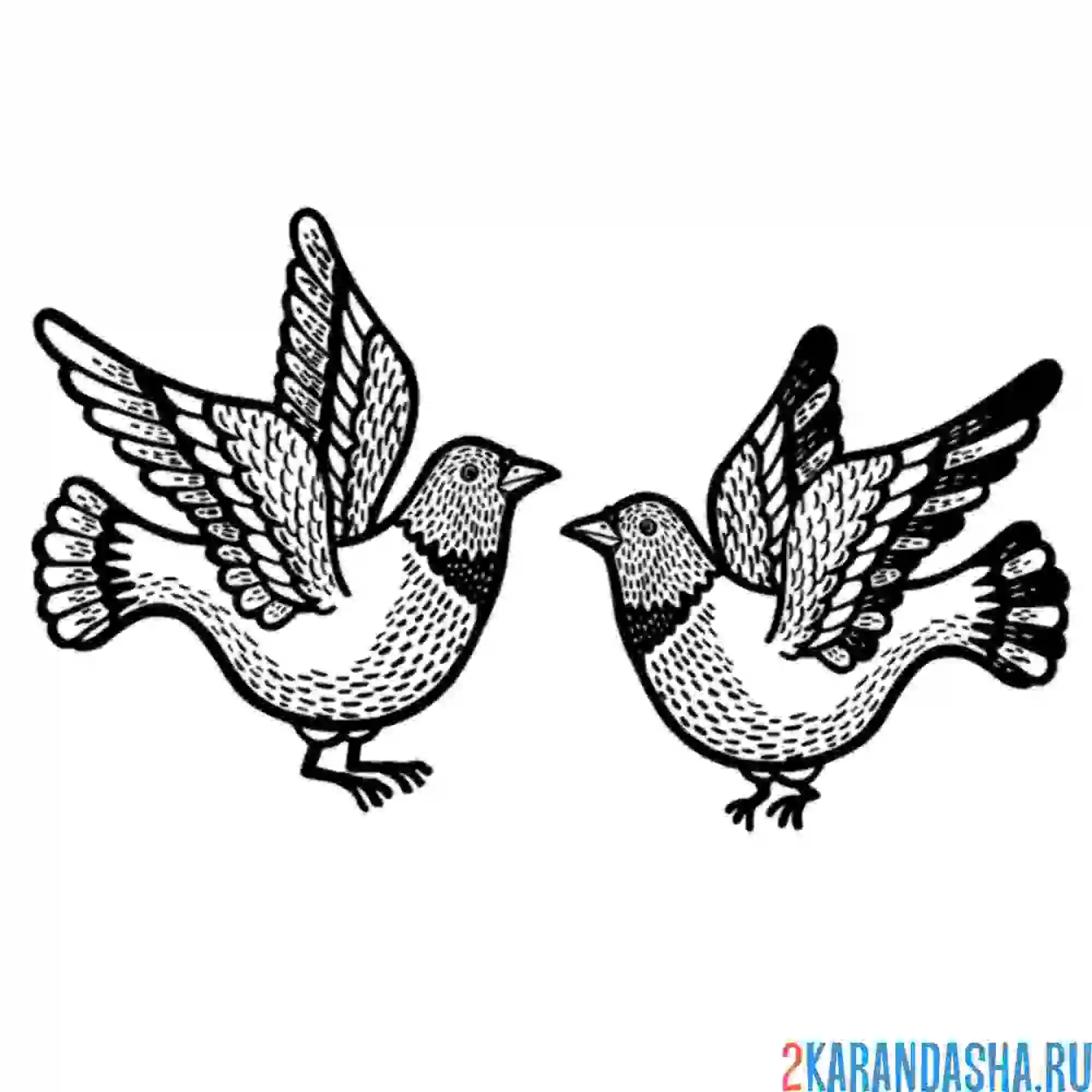 Раскраска два голубя летят