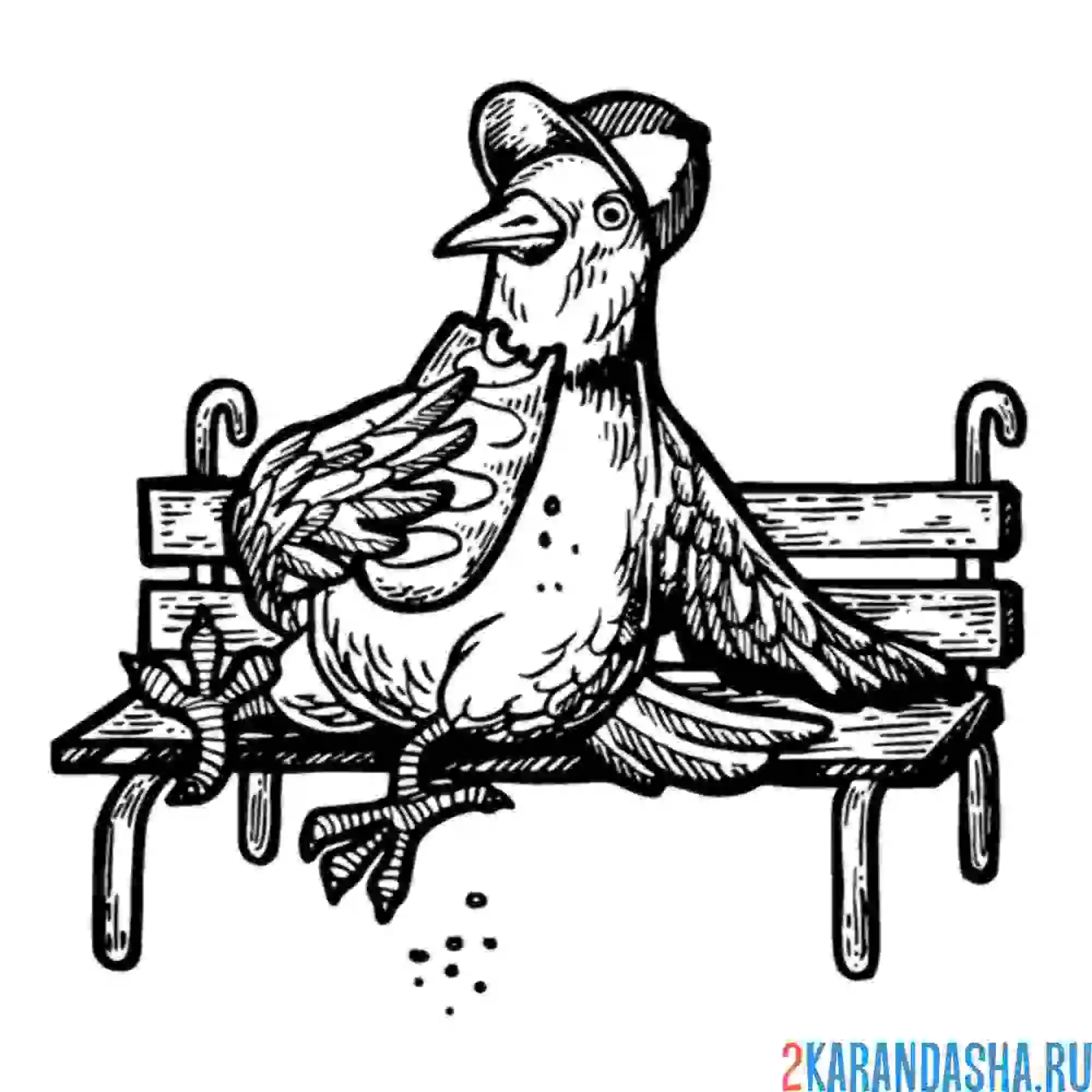 Раскраска голубь на лавке