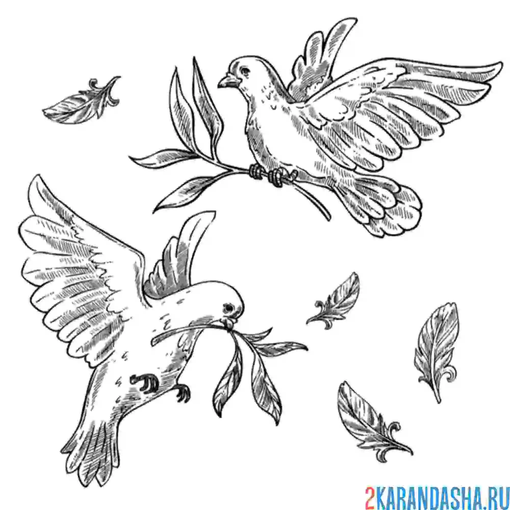 Раскраска два голубя летят с веточками