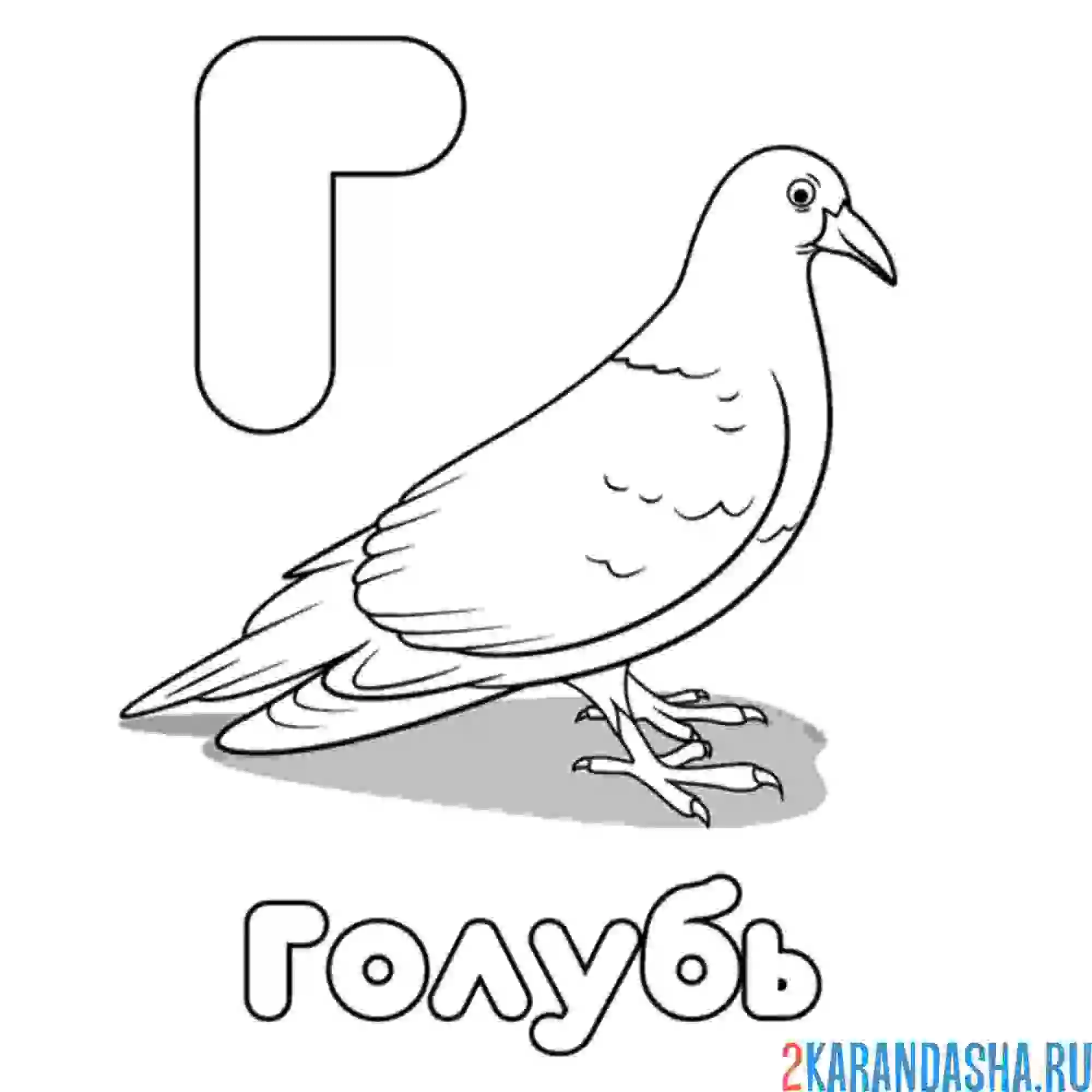 Раскраска буква г голубь