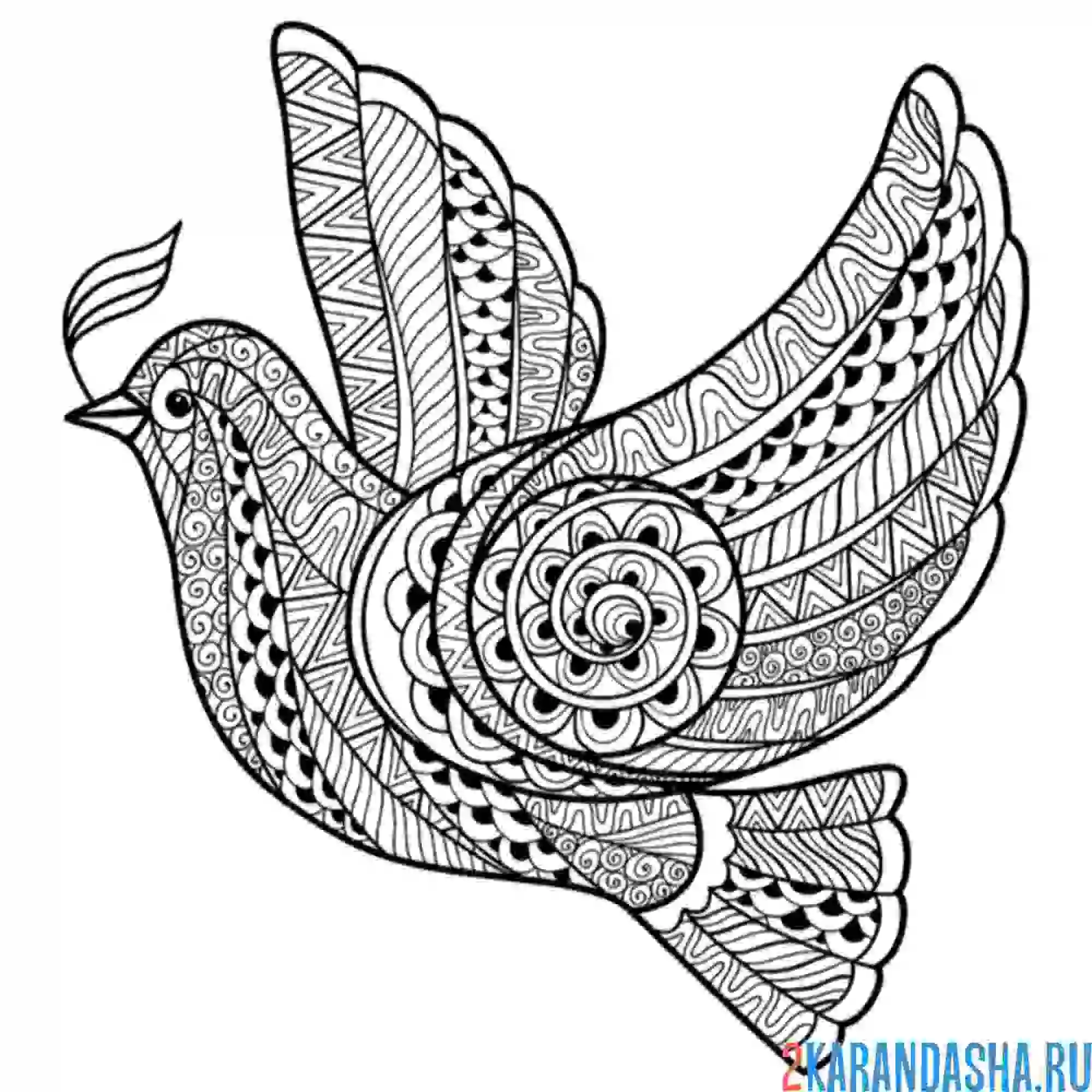 Раскраска антистресс-голубка