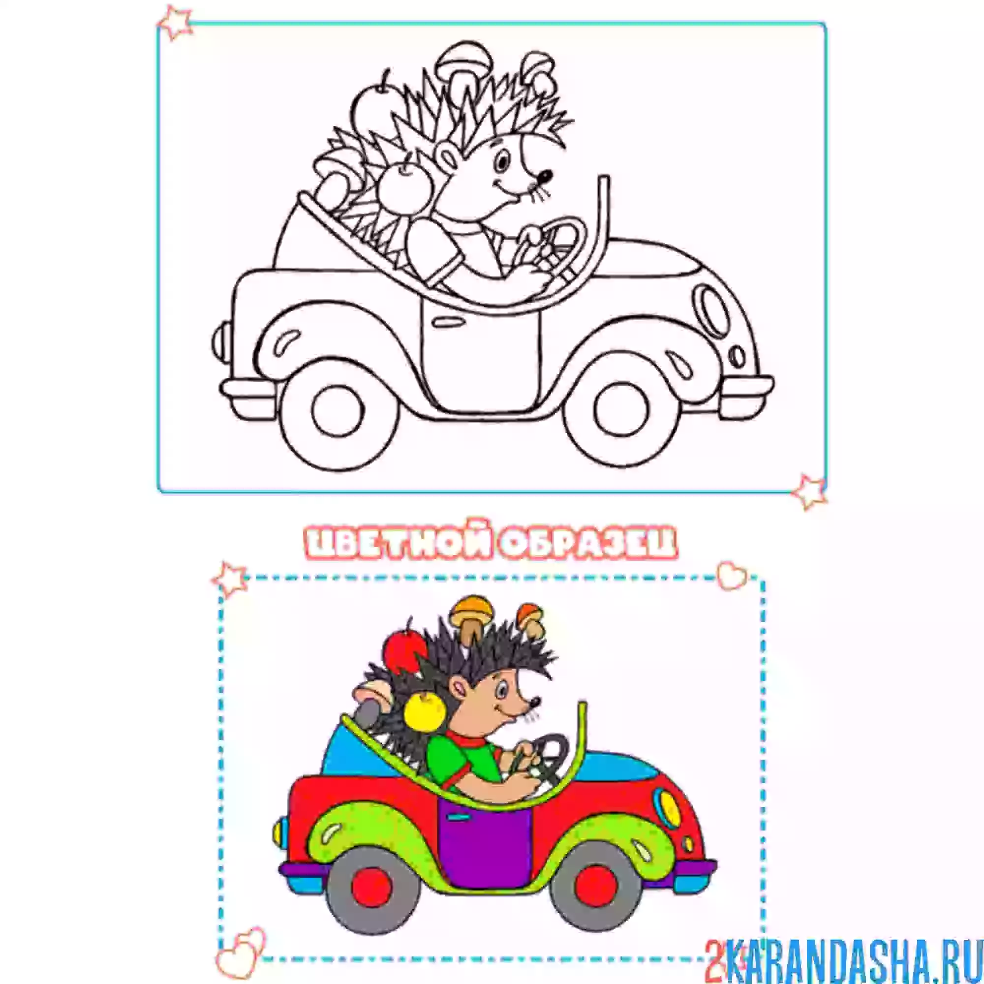 Раскраска с цветным образцом ежик