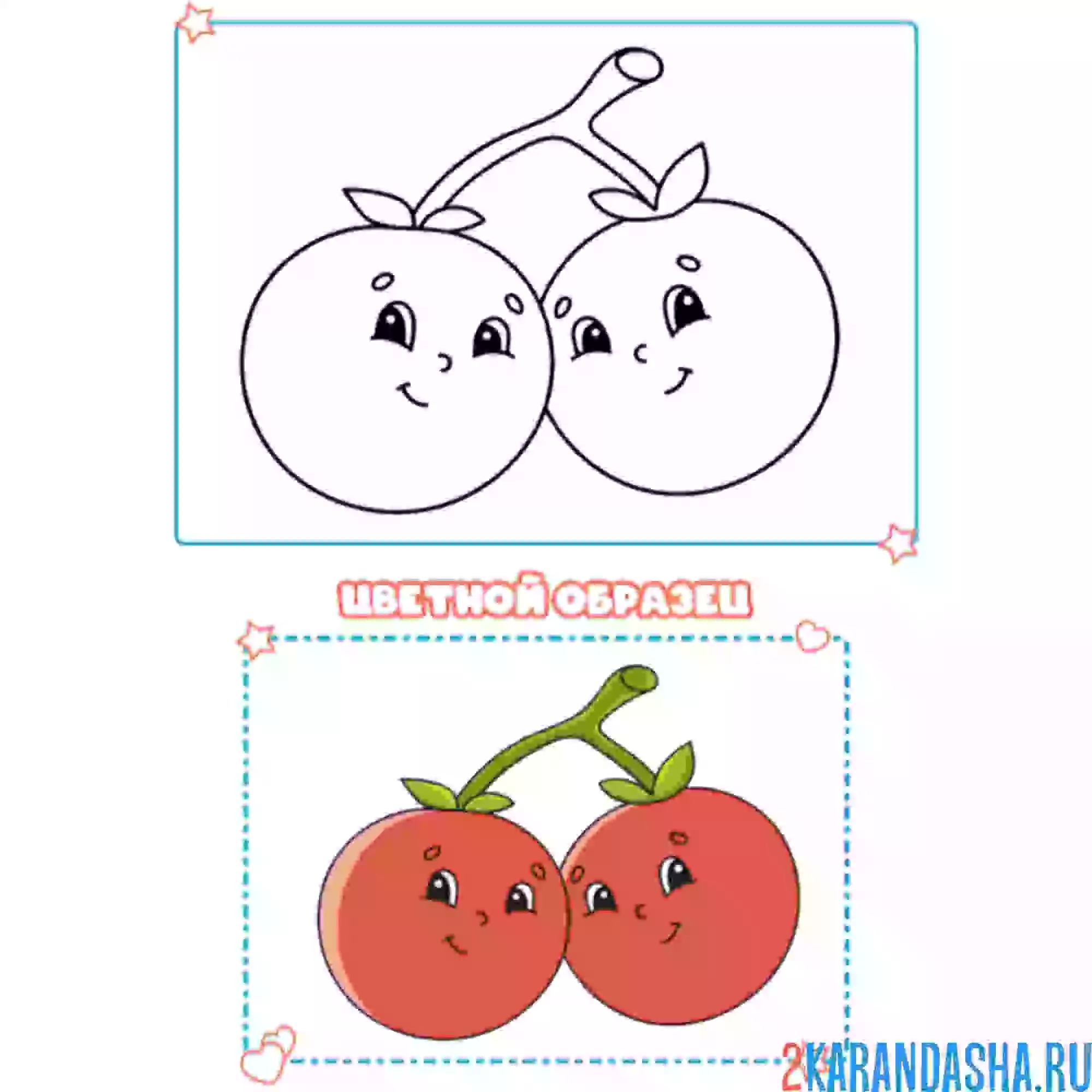 Раскраска с цветным образцом помидоры