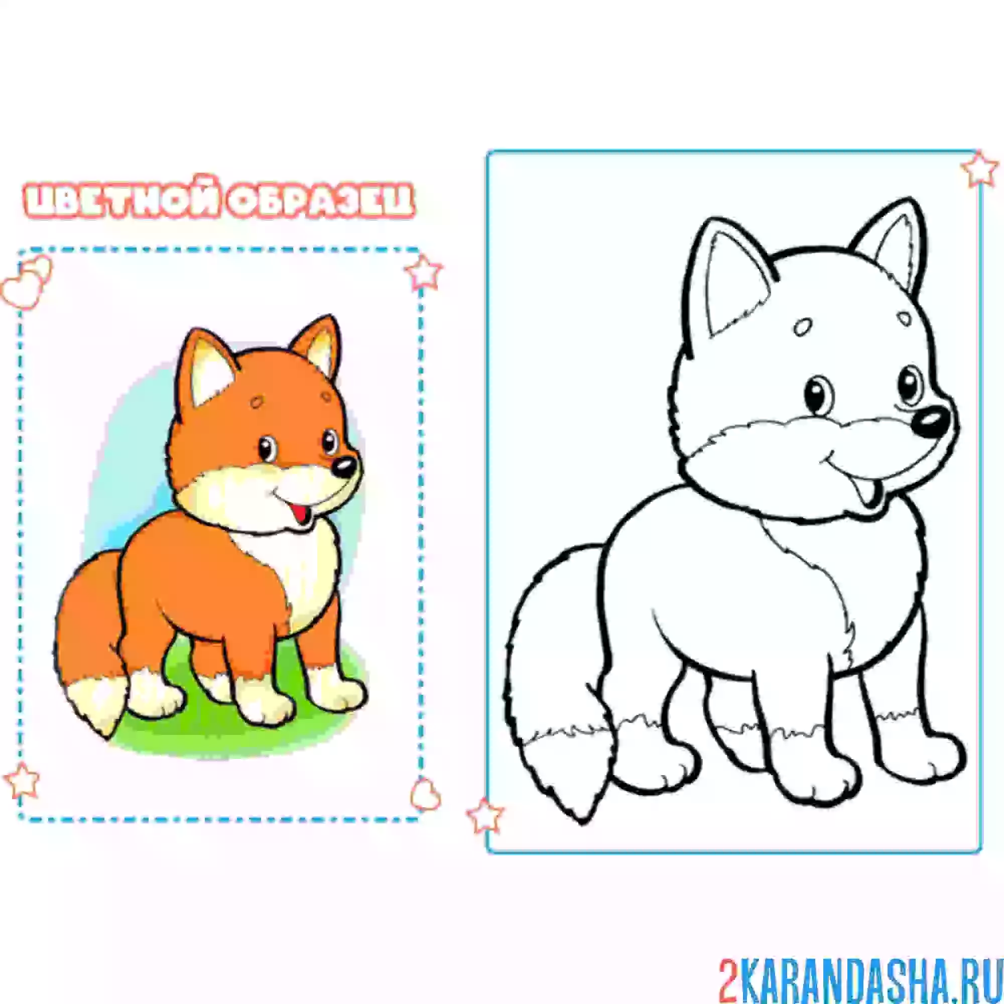 Раскраска с цветным образцом лисичка