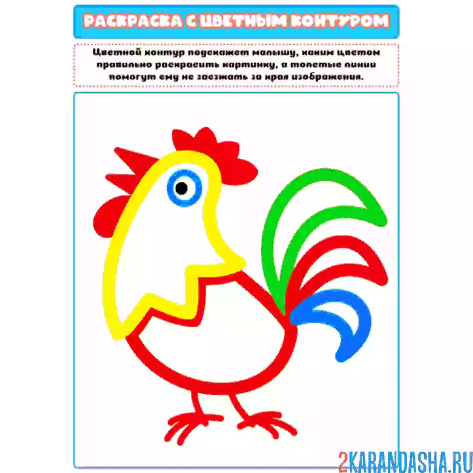Раскраска с цветным контуром петух