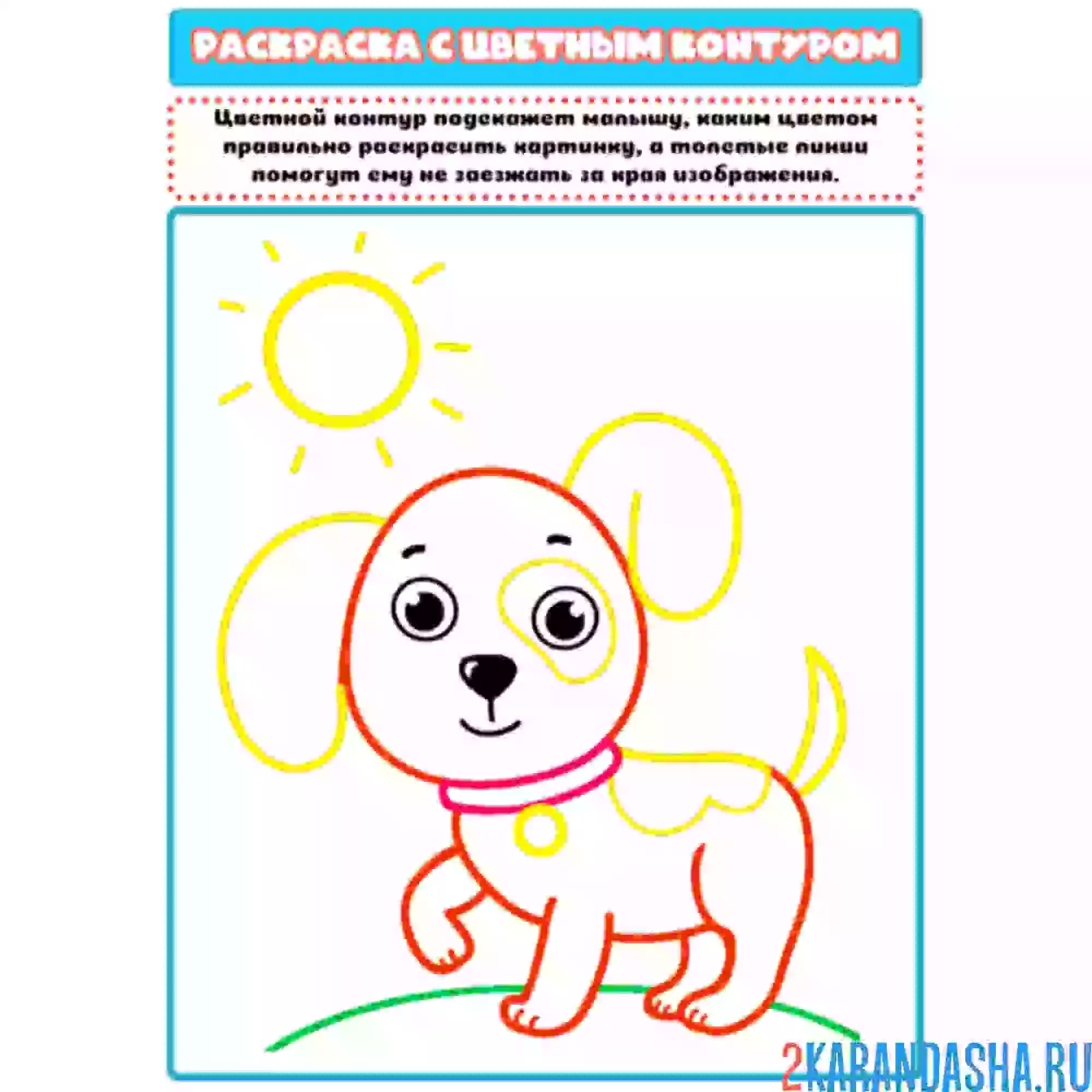 Раскраска с цветным контуром собачка