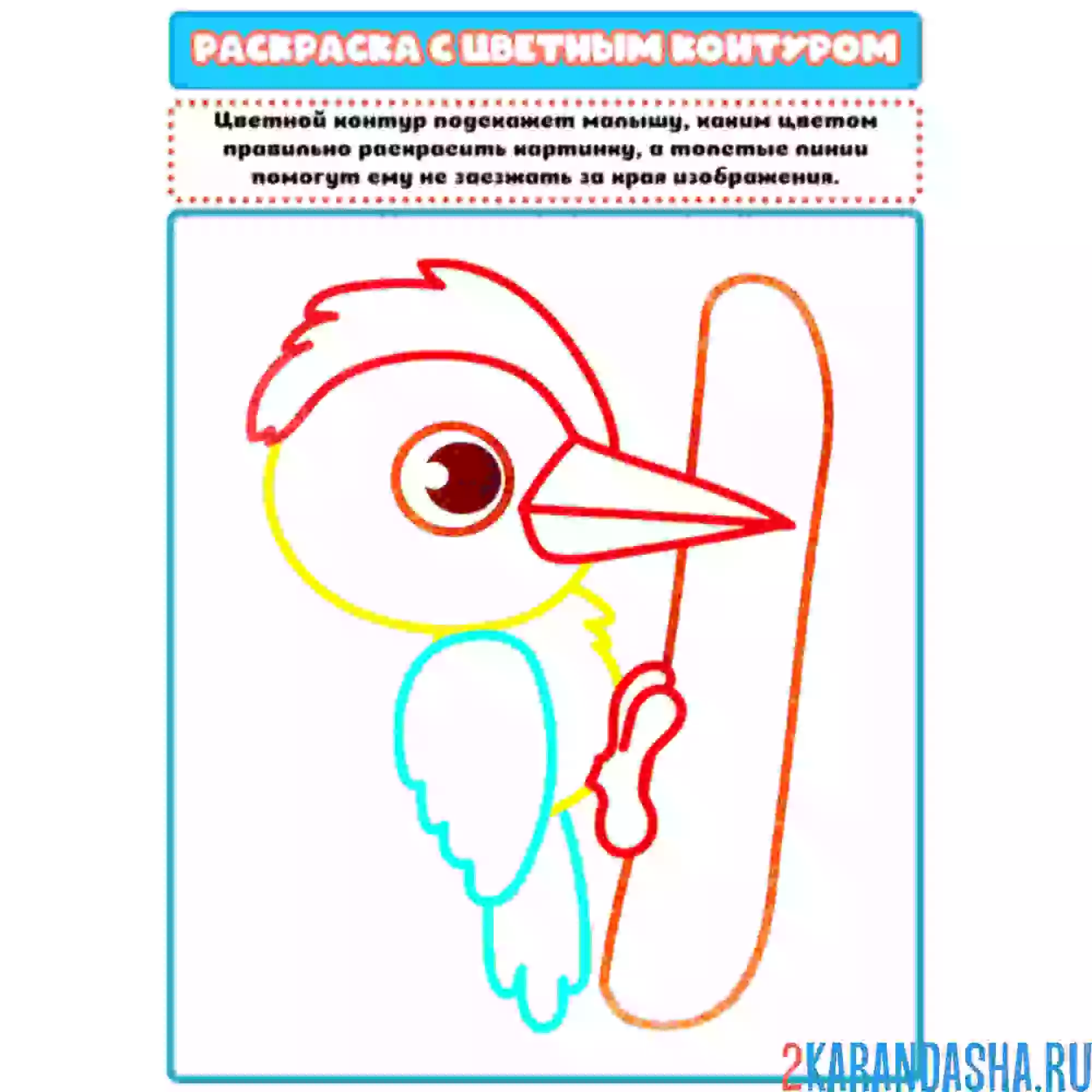 Раскраска с цветным контуром дятел