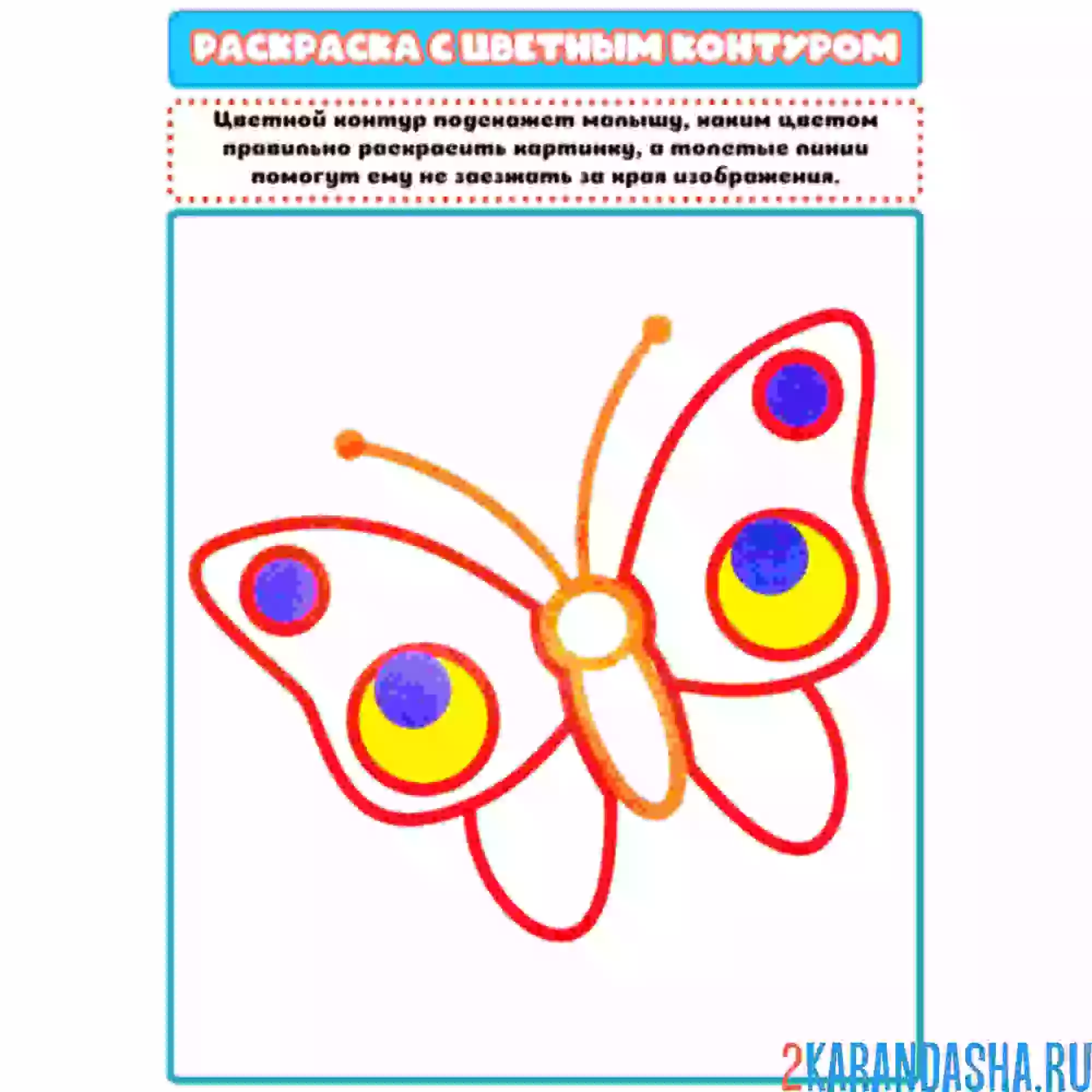 Раскраска с цветным контуром большая бабочка