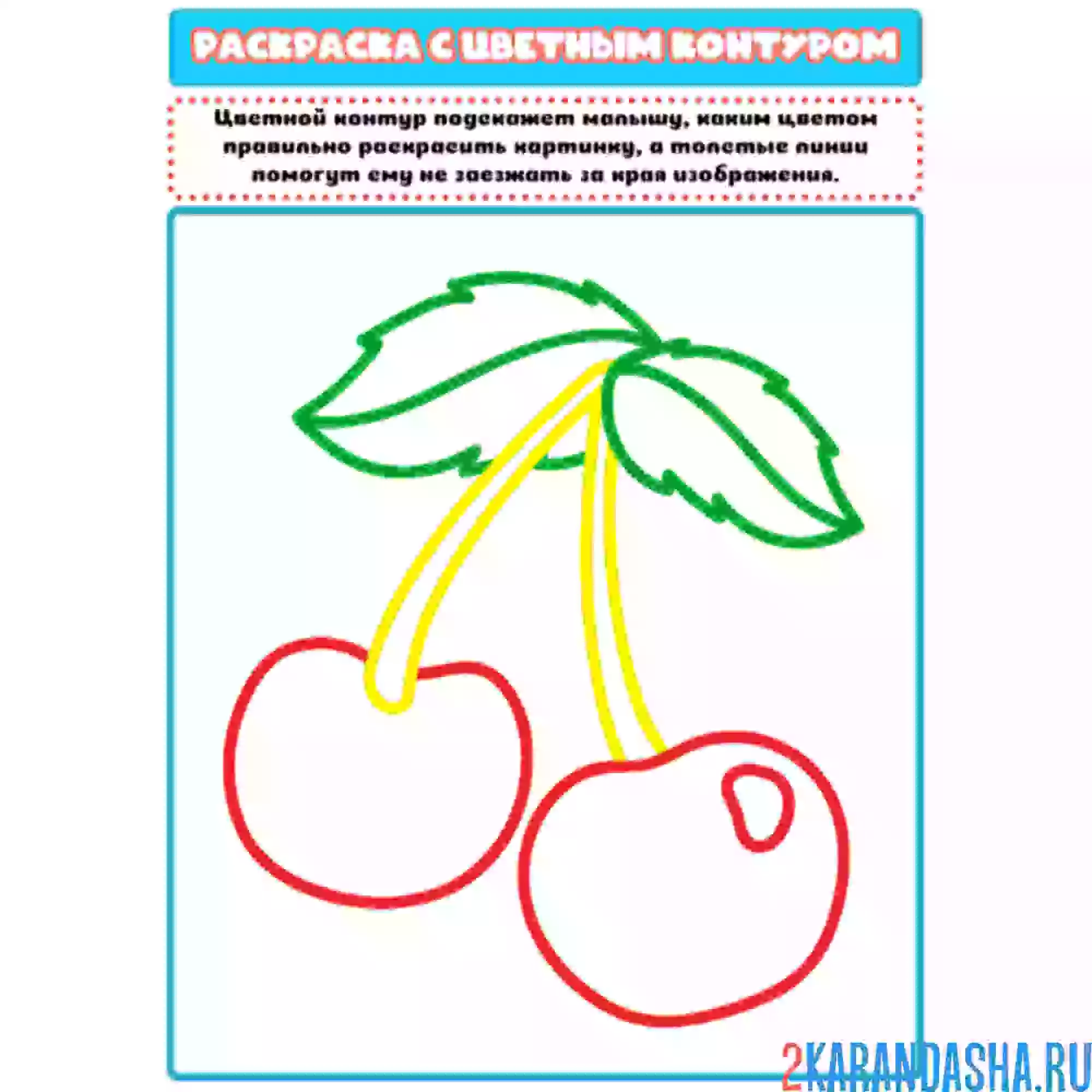 Раскраска с цветным контуром вишня