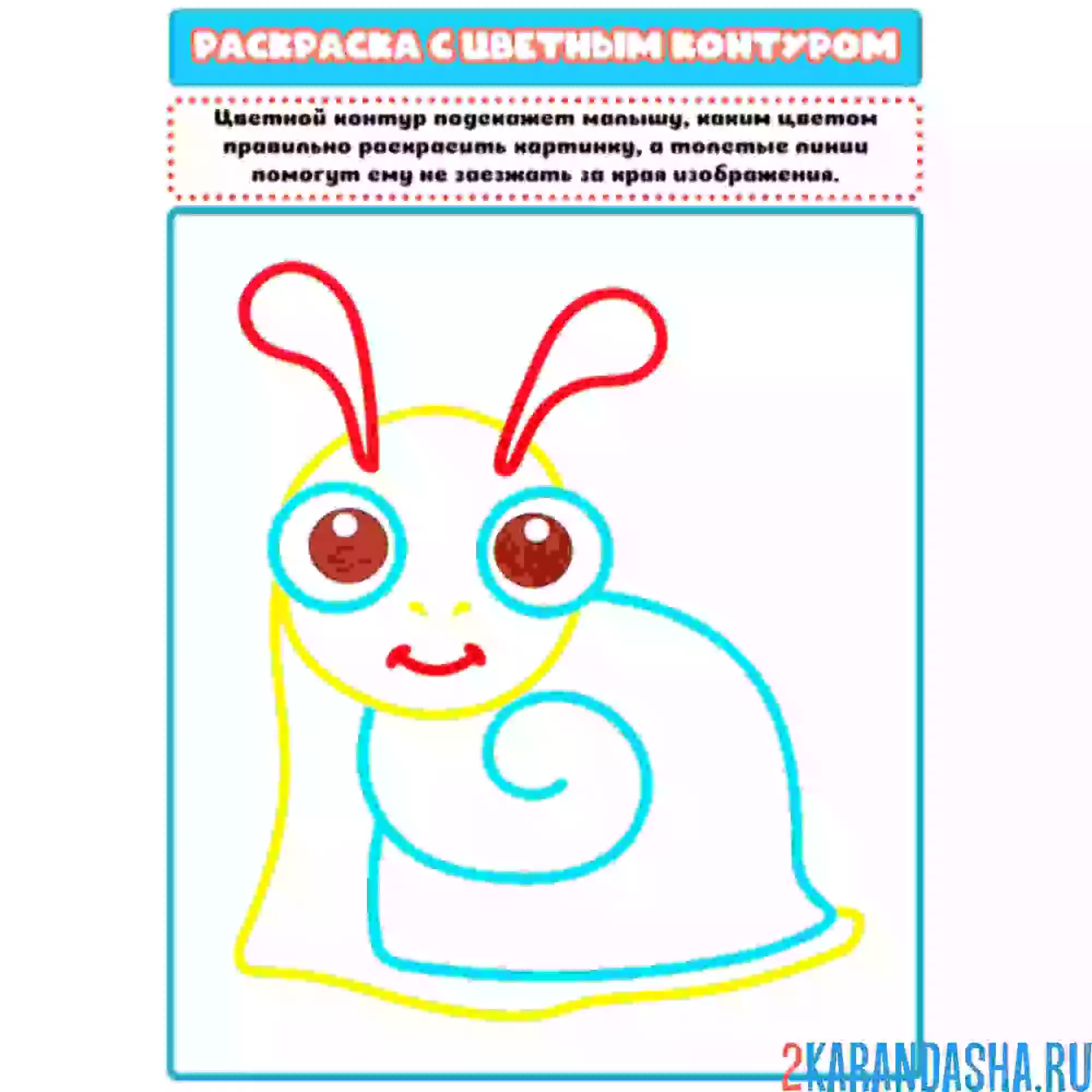 Раскраска с цветным контуром улитка