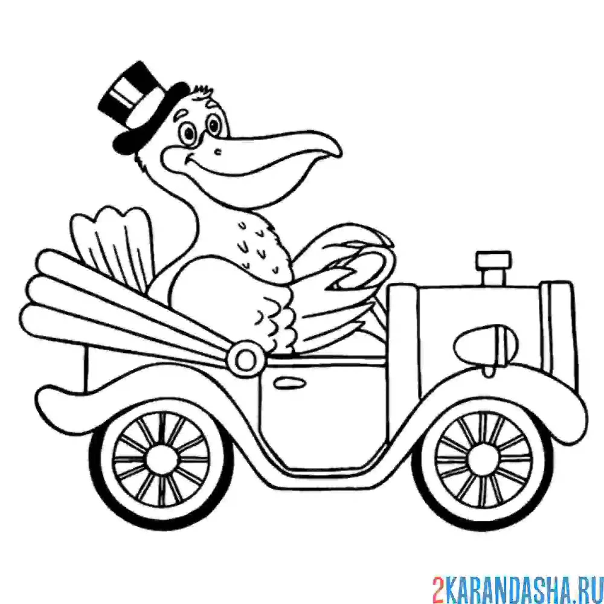 Раскраска пеликан на машине