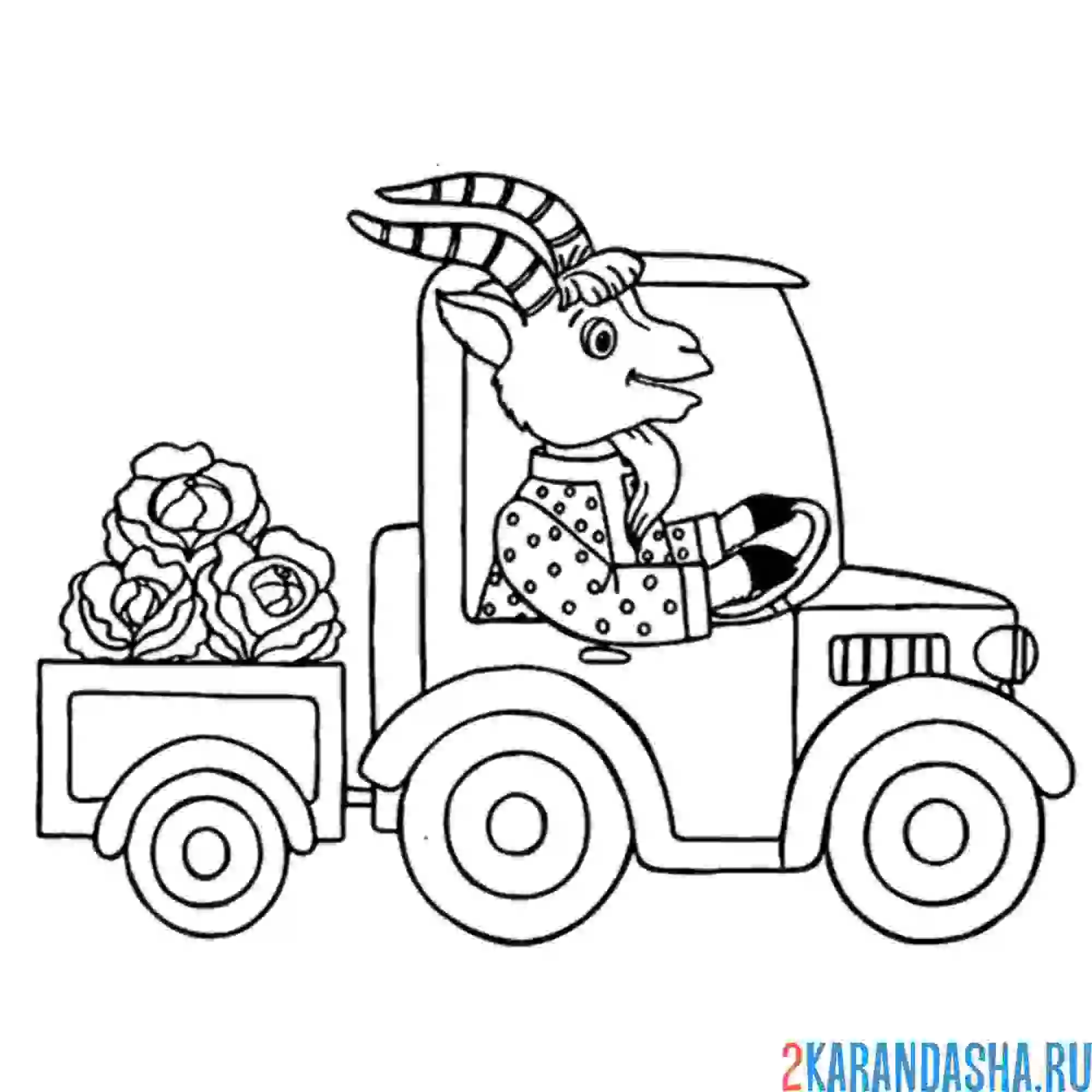 Раскраска козлик с капустой