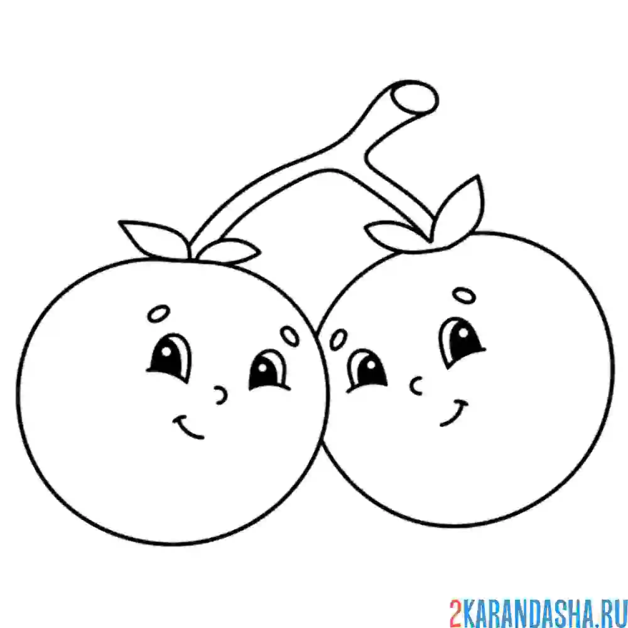 Раскраска две сестрички помидорки