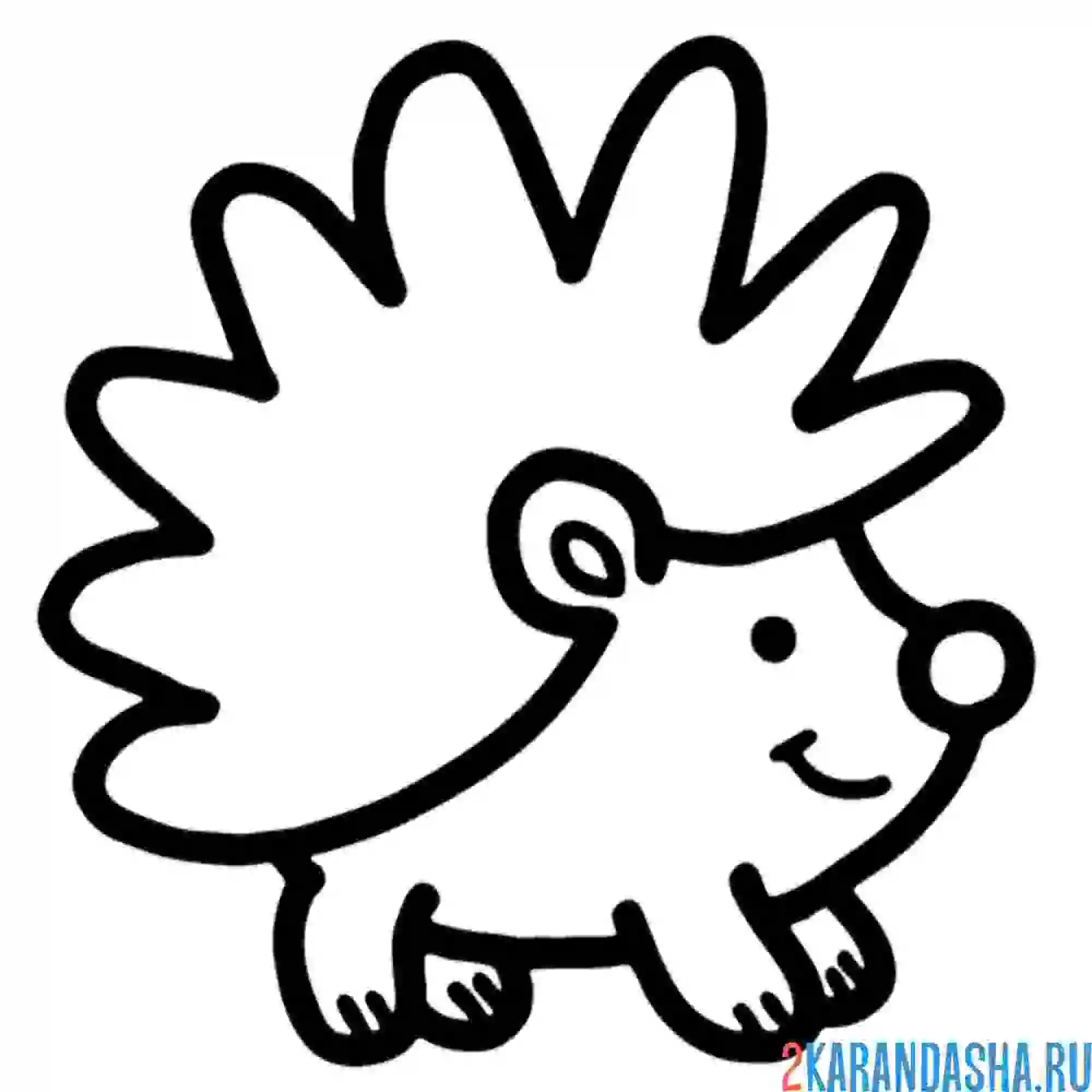 Раскраска маленький ежик