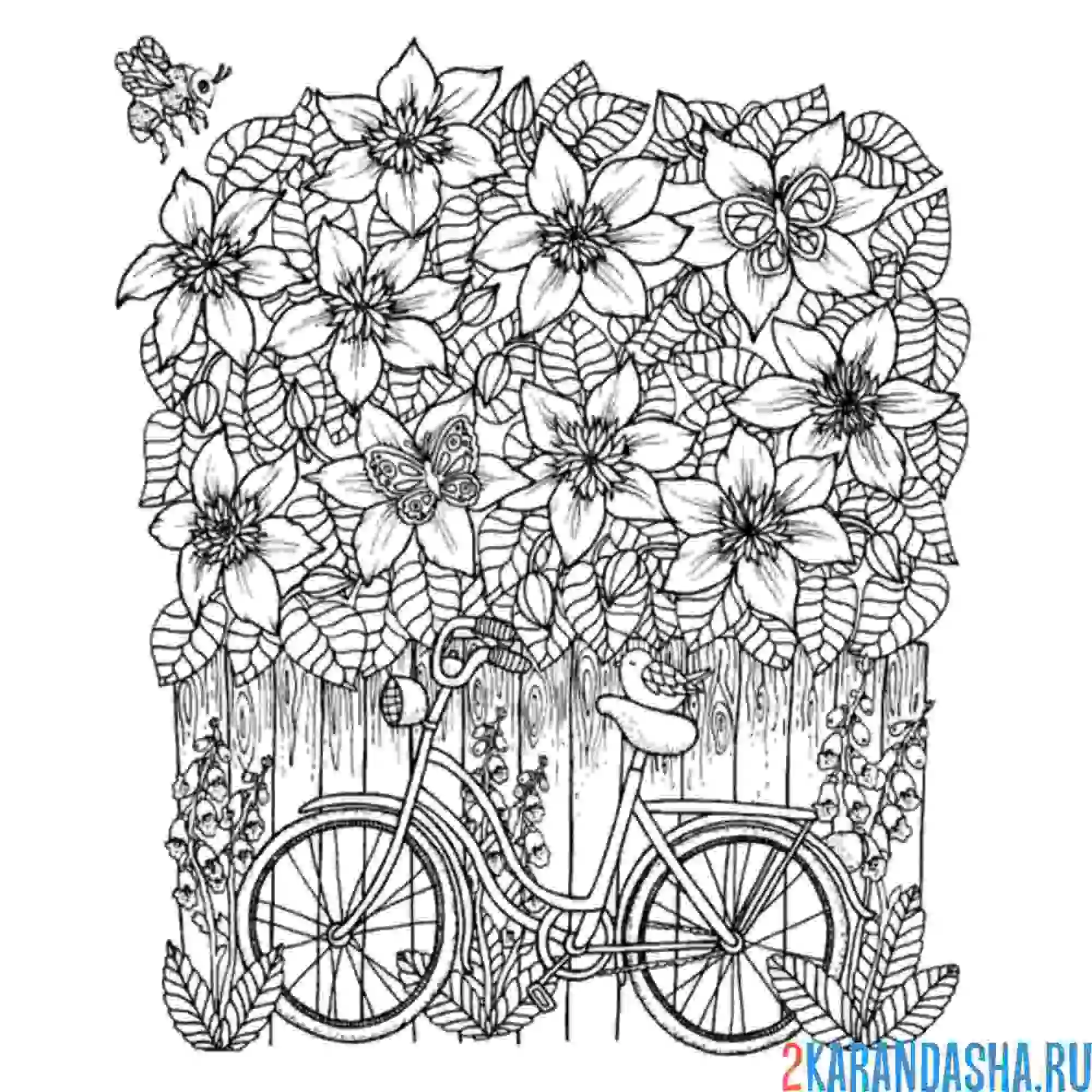 Раскраска арт-терапия велосипед и цветы
