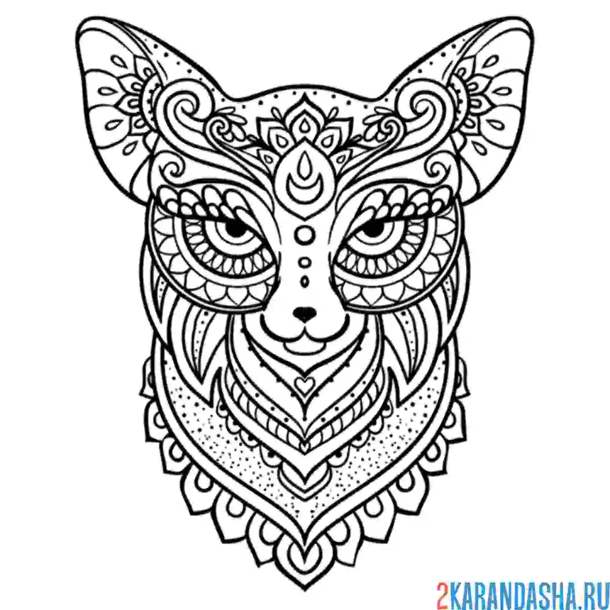 Раскраска рысь арт-терапия