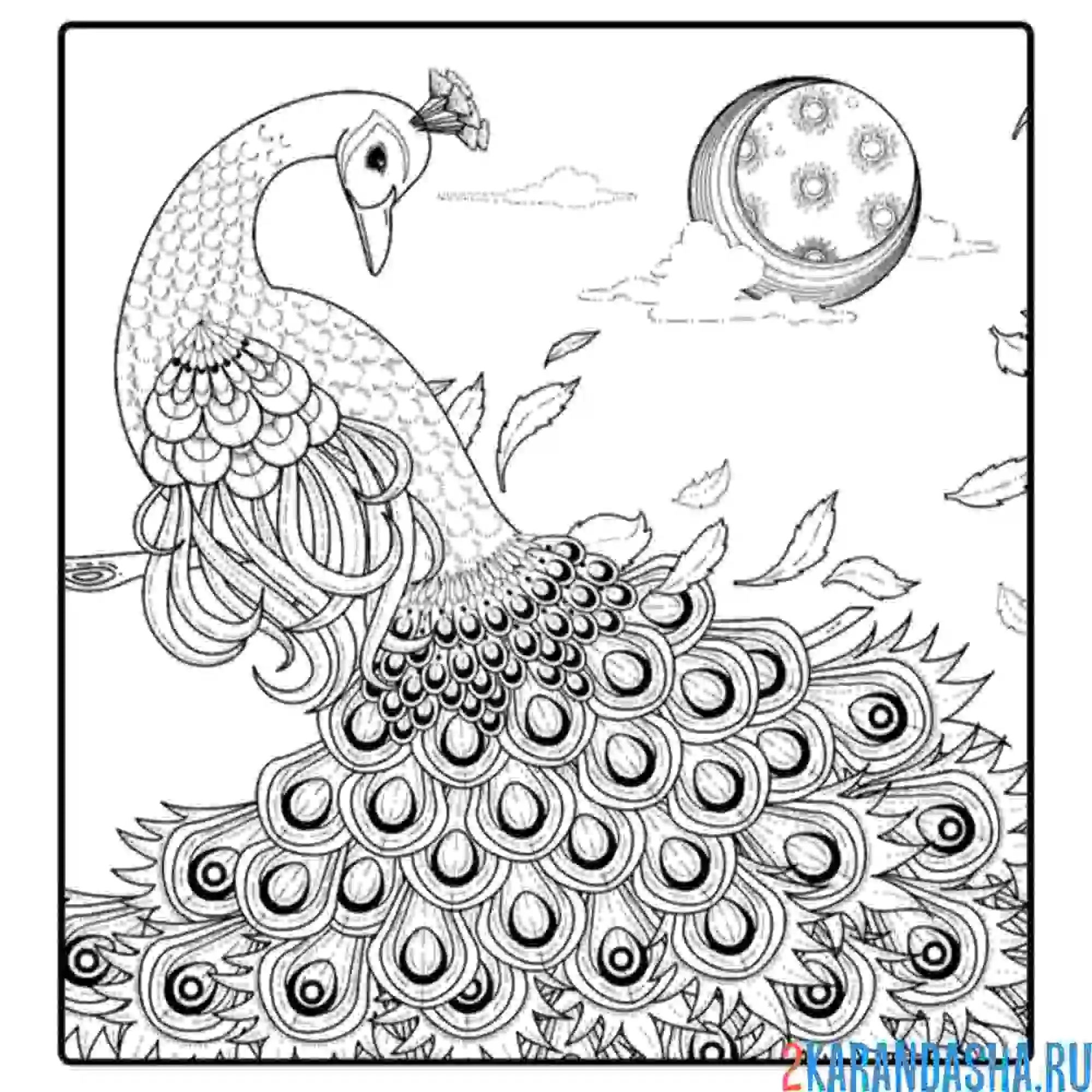 Раскраска птица-солнце арт-терапия