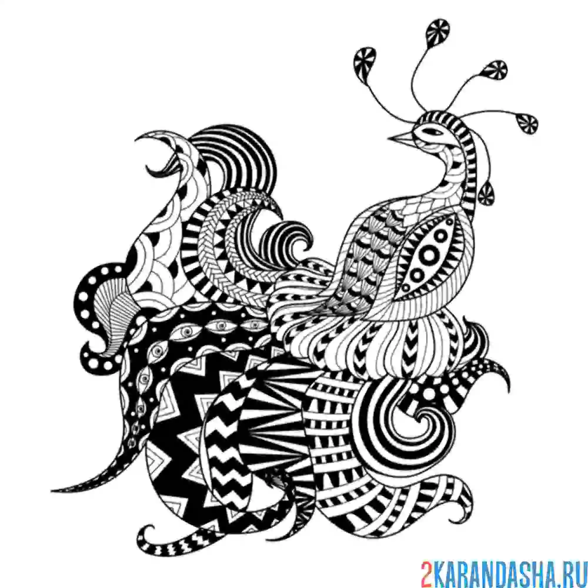 Раскраска птица арт