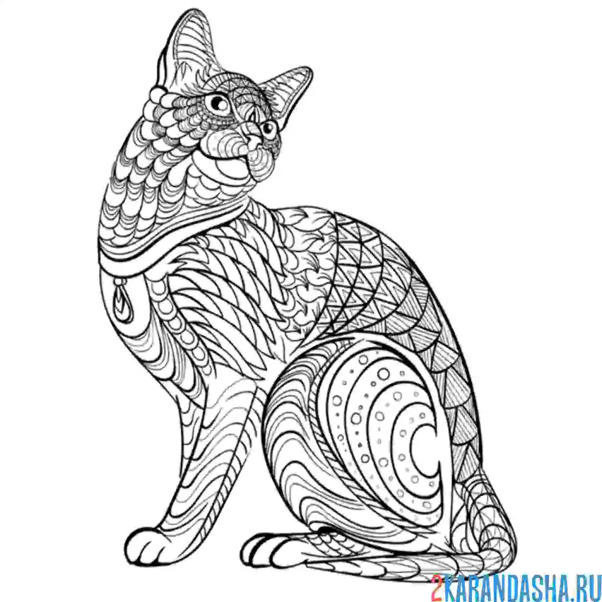 Раскраска котик арт-терапия