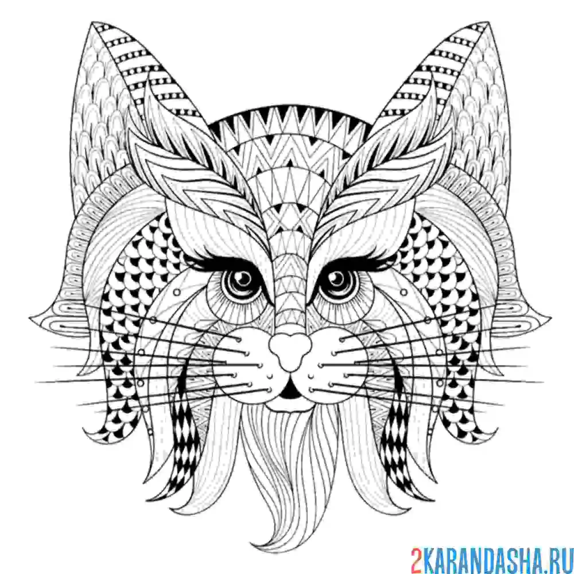 Раскраска рысь арт