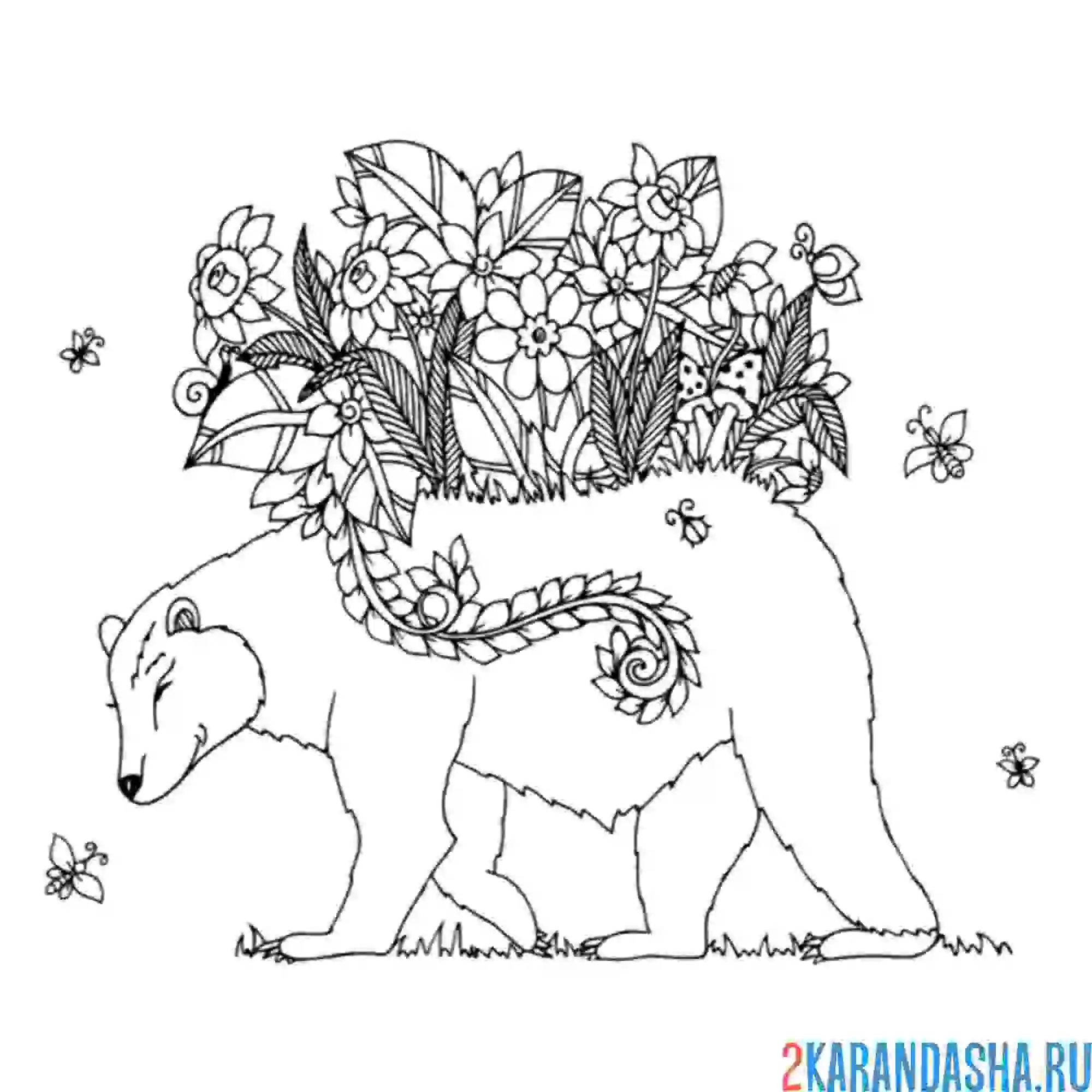 Раскраска белый медведь арт-терапия