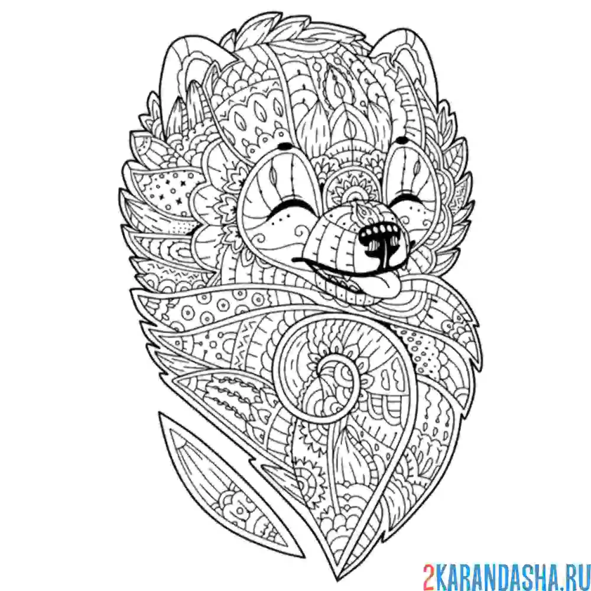 Раскраска песик антистресс