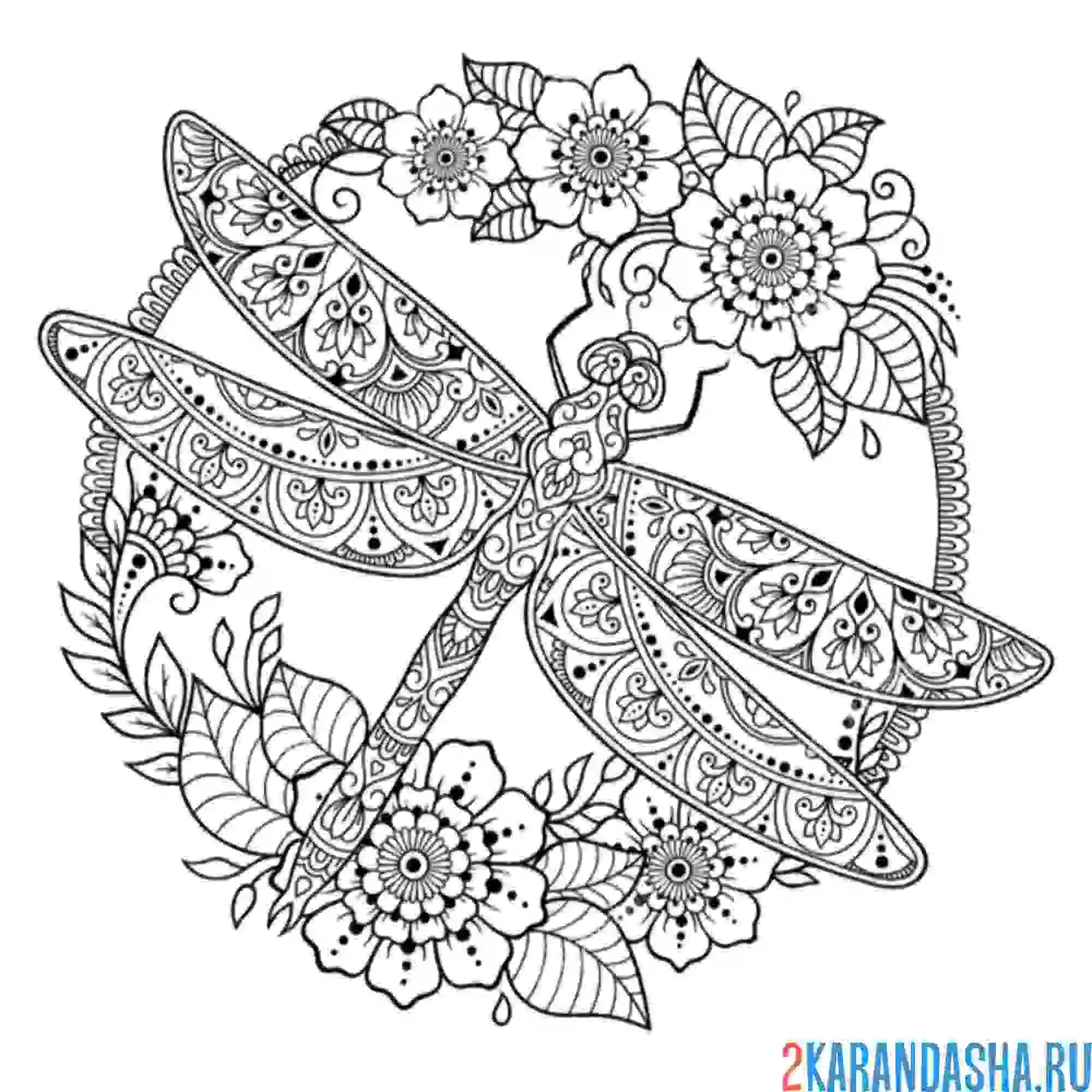 Раскраска стрекоза арт-терапия