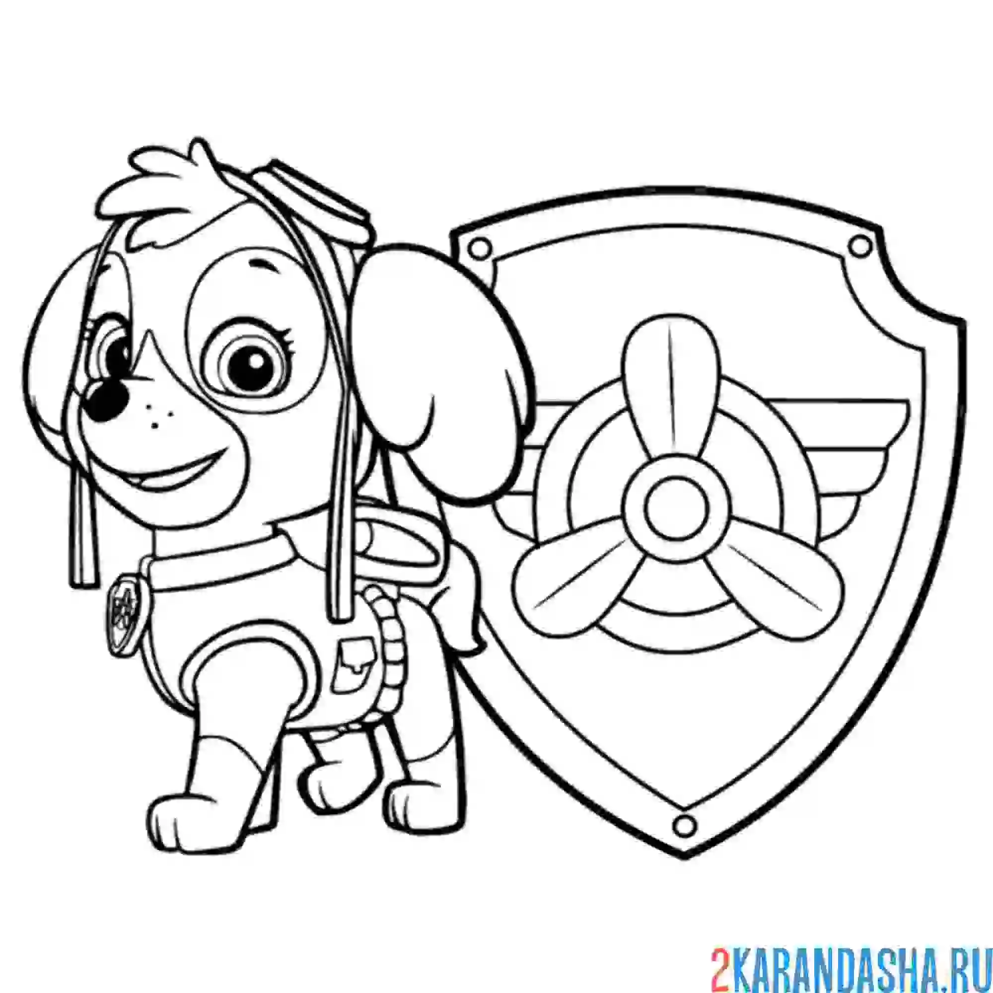 Раскраска скай и значок