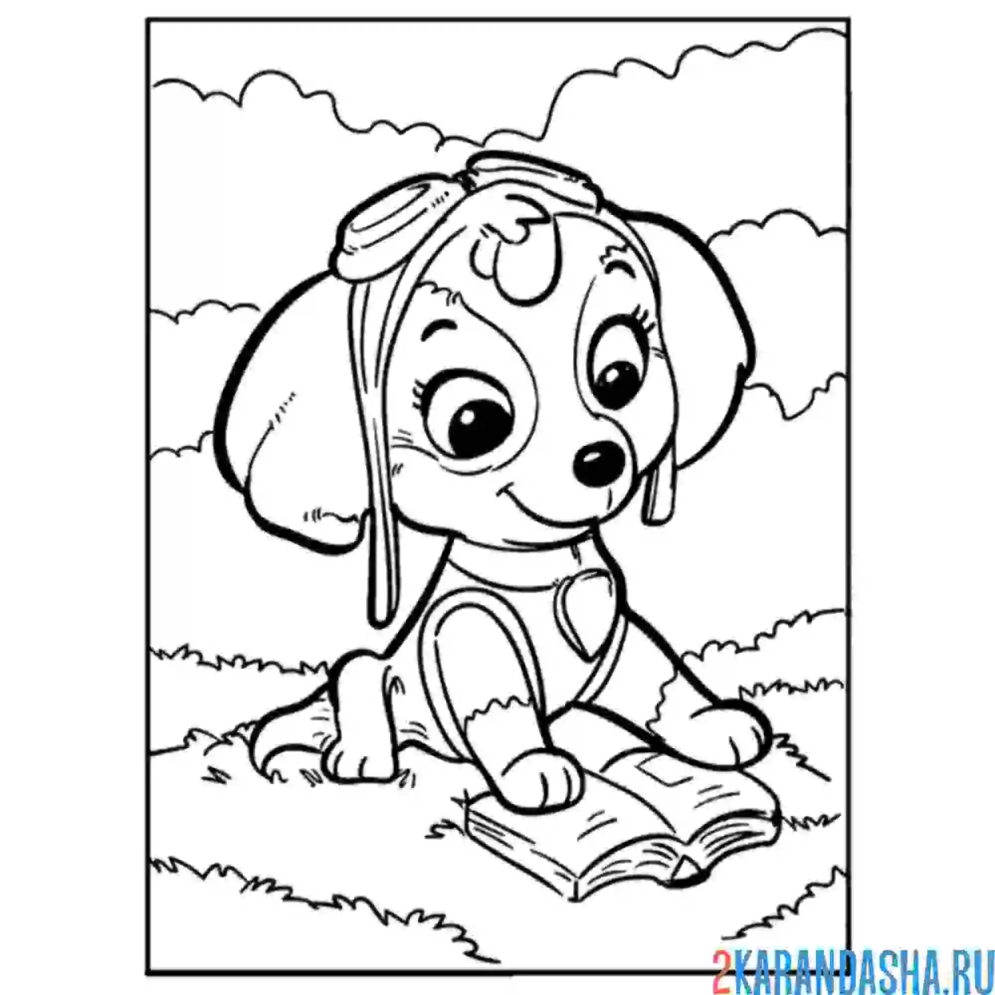 Раскраска скай читает книгу