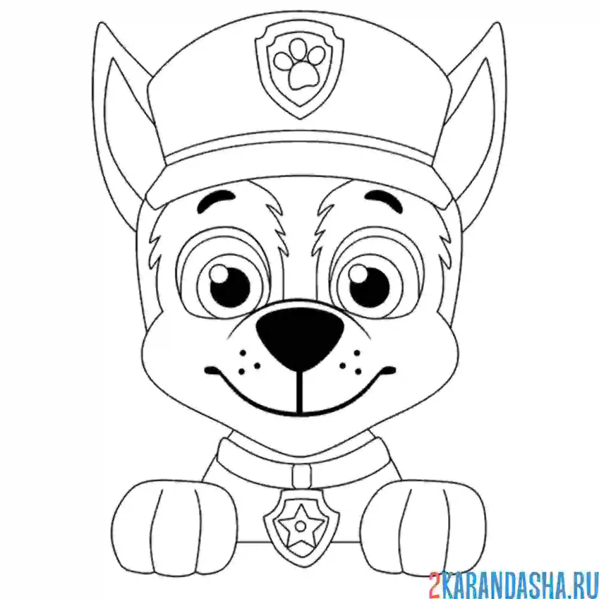 Раскраска гонщик щенячий патруль лапуля