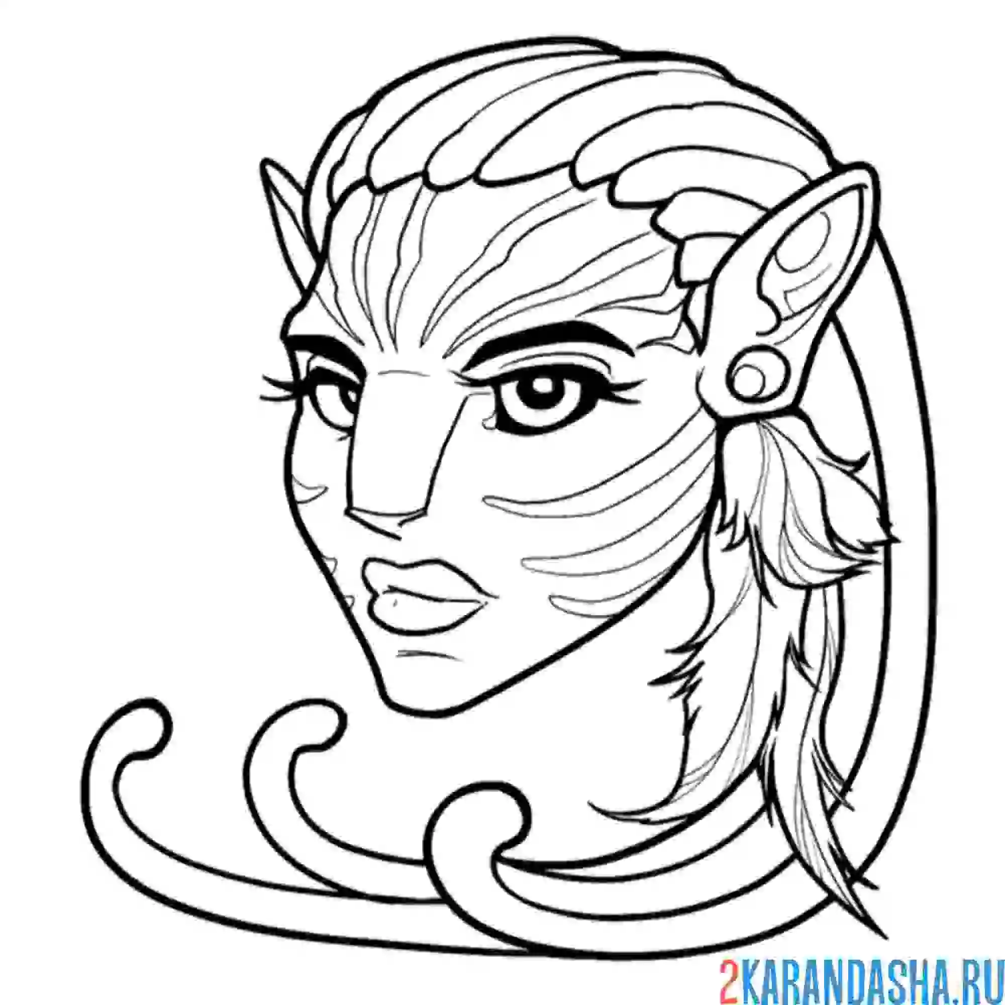 Раскраска нейтири портрет голова