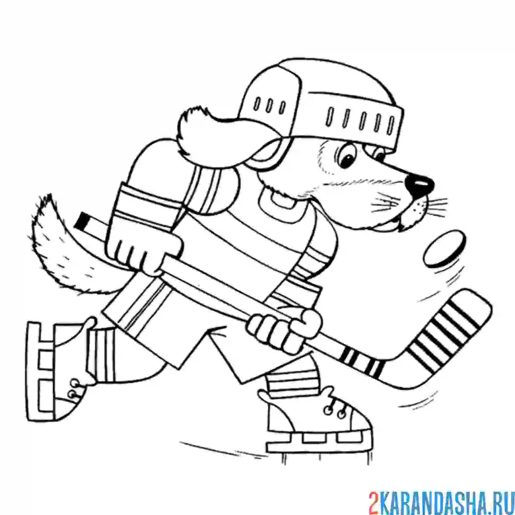 Раскраска хоккей собачка