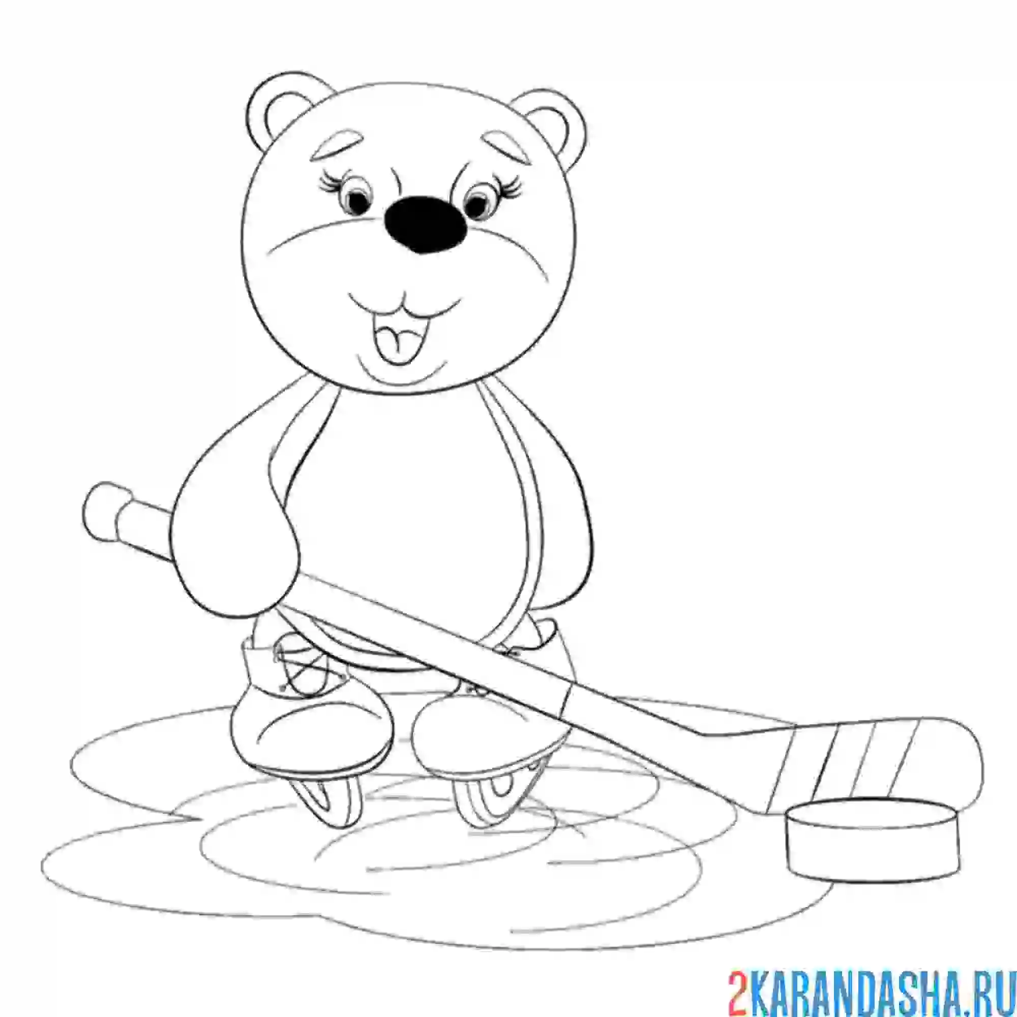 Раскраска медведь хоккей