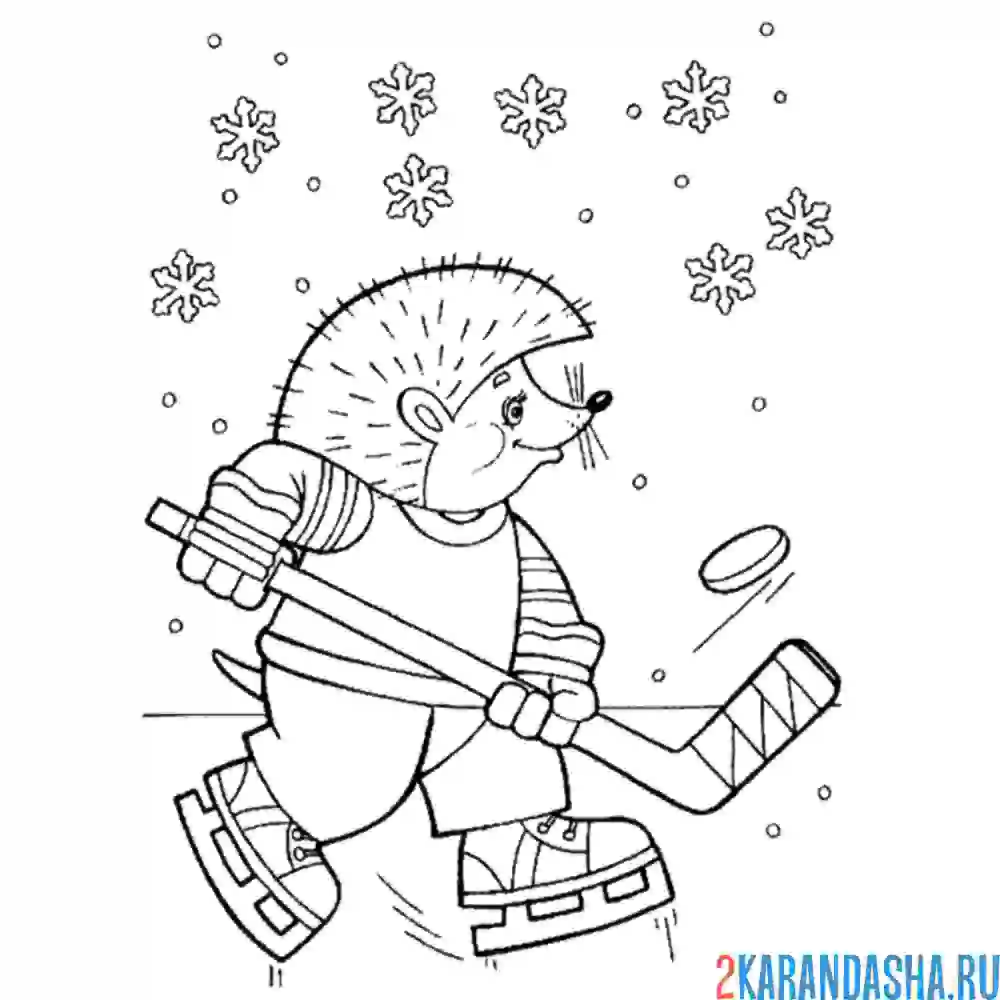 Раскраска ежик хоккей