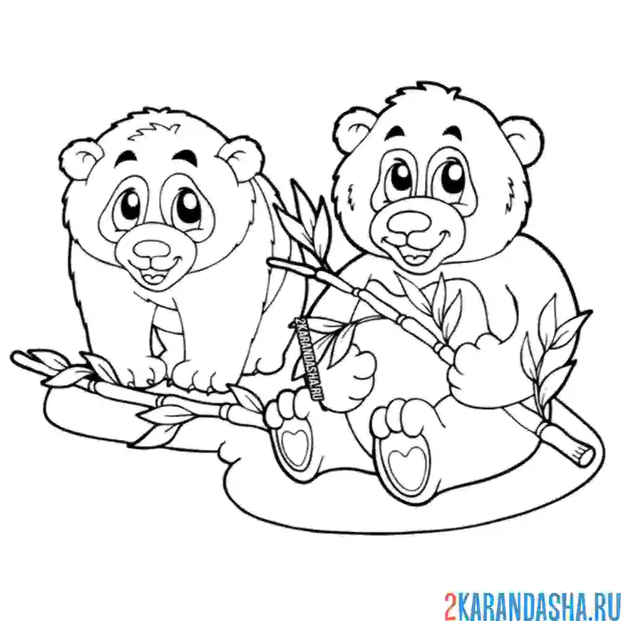 Раскраска две панды