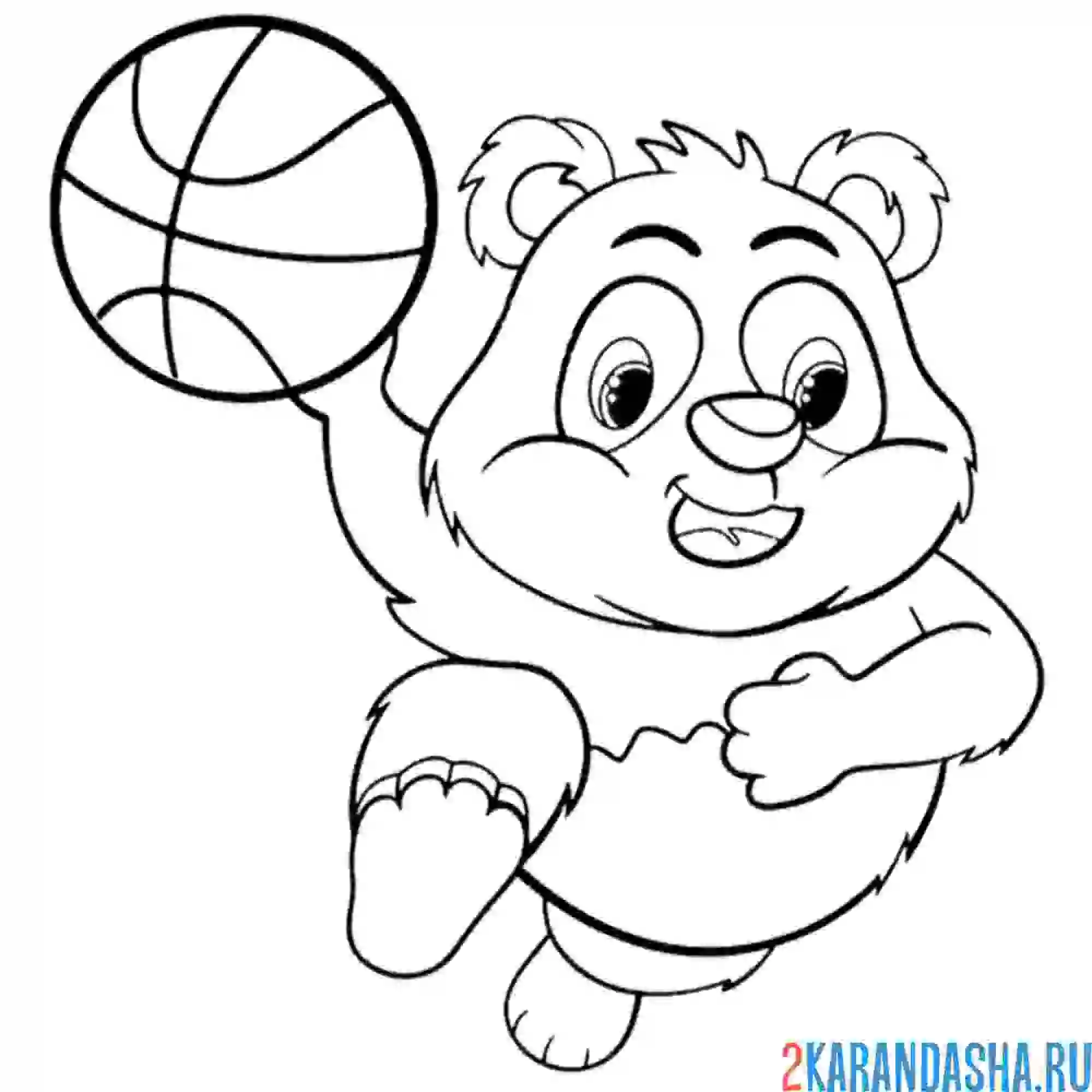 Раскраска панда баскетболист