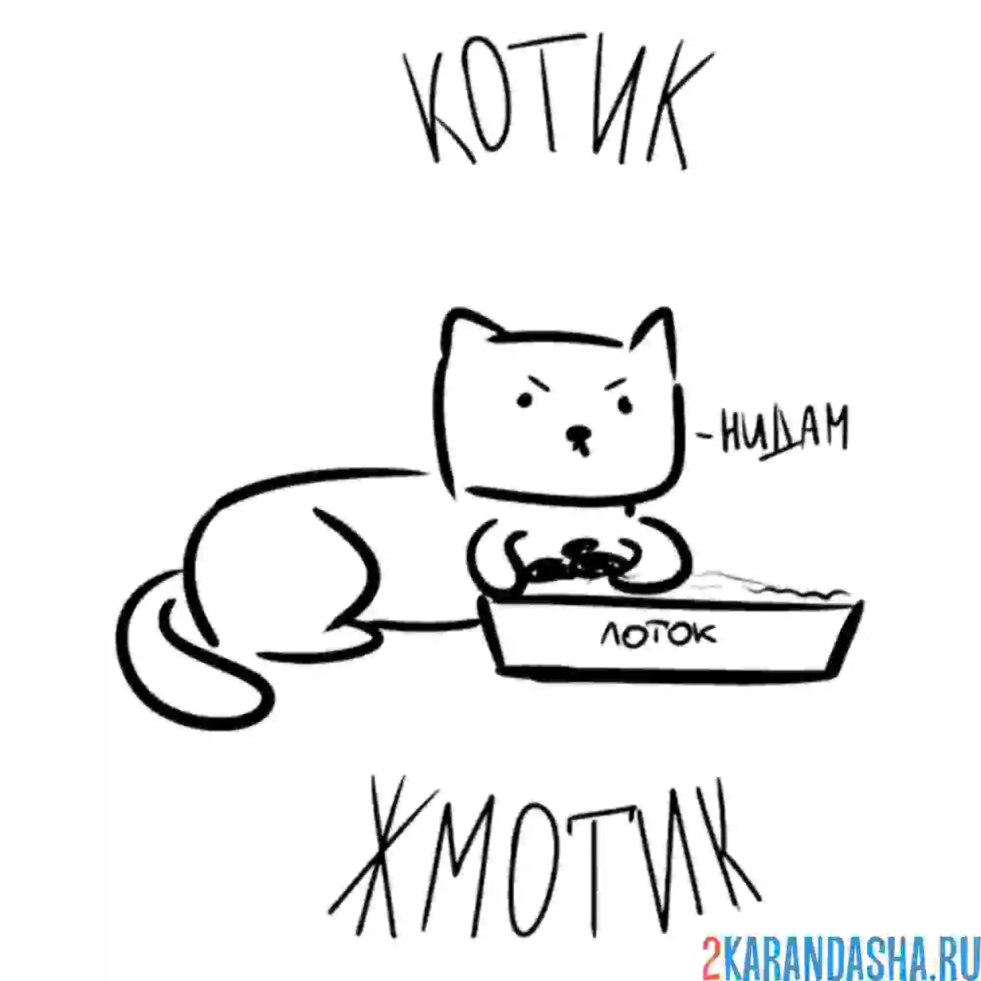 Мемы котики картинки рисунки