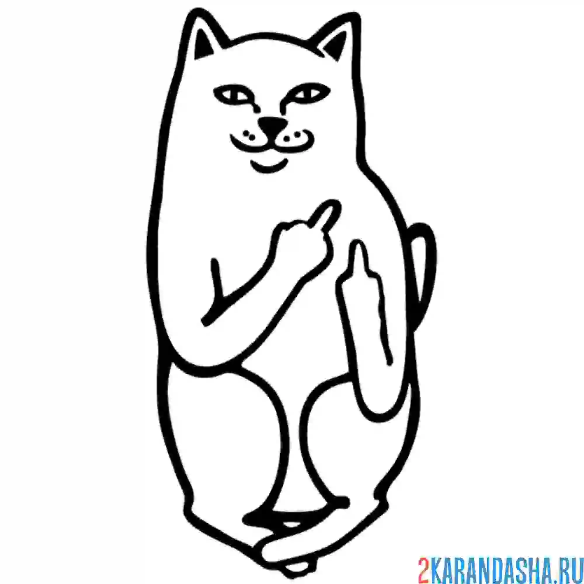 Раскраска мем котяра