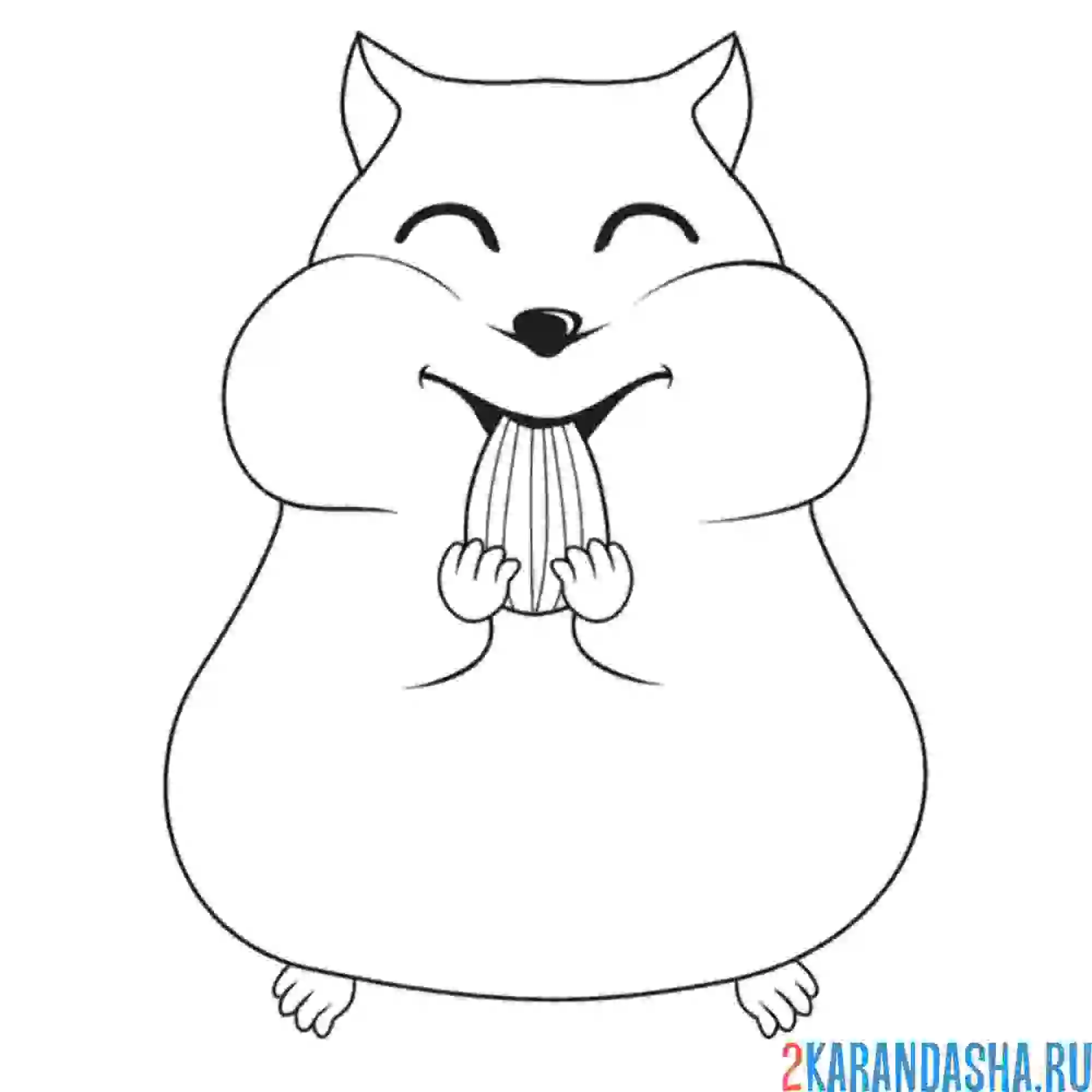 Раскраска хомяк есть семечку