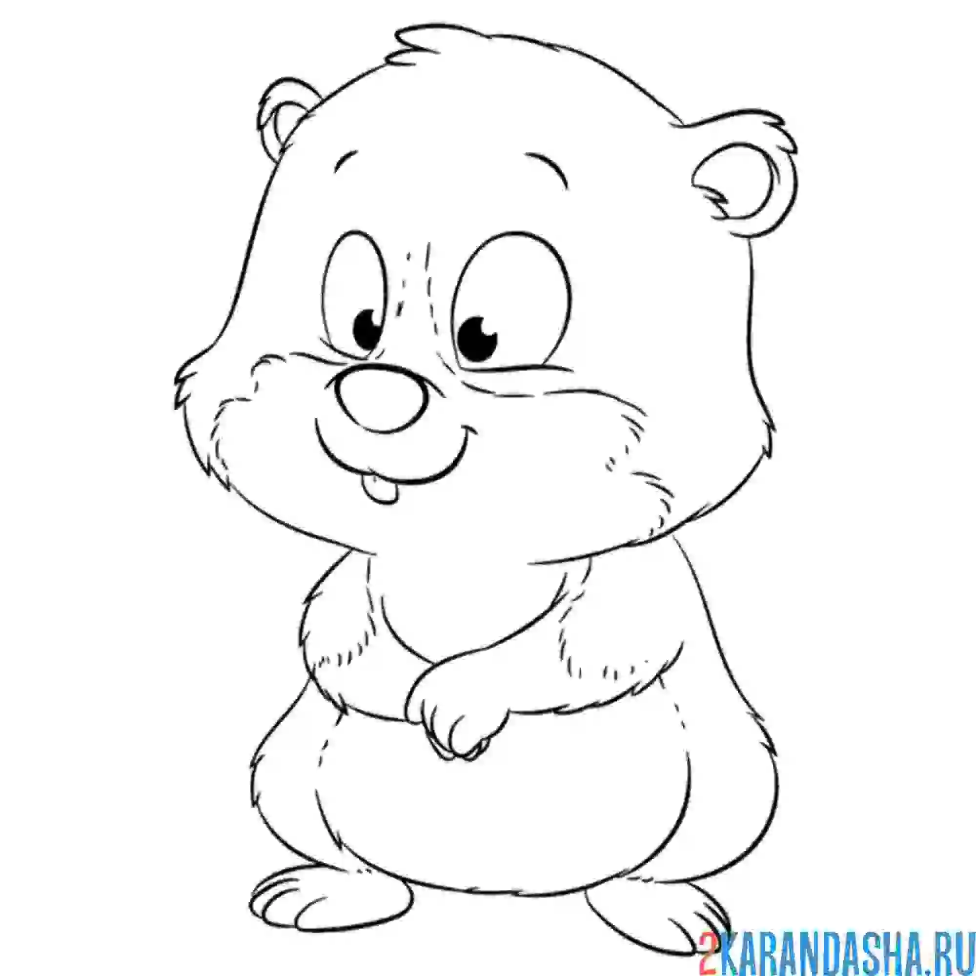 Раскраска милашка хомяк