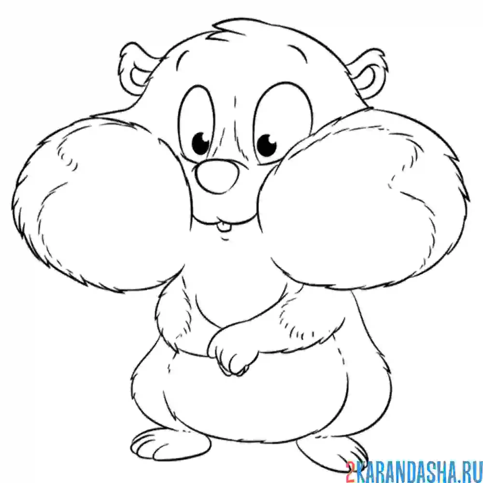 Раскраска хомяк набил щеки