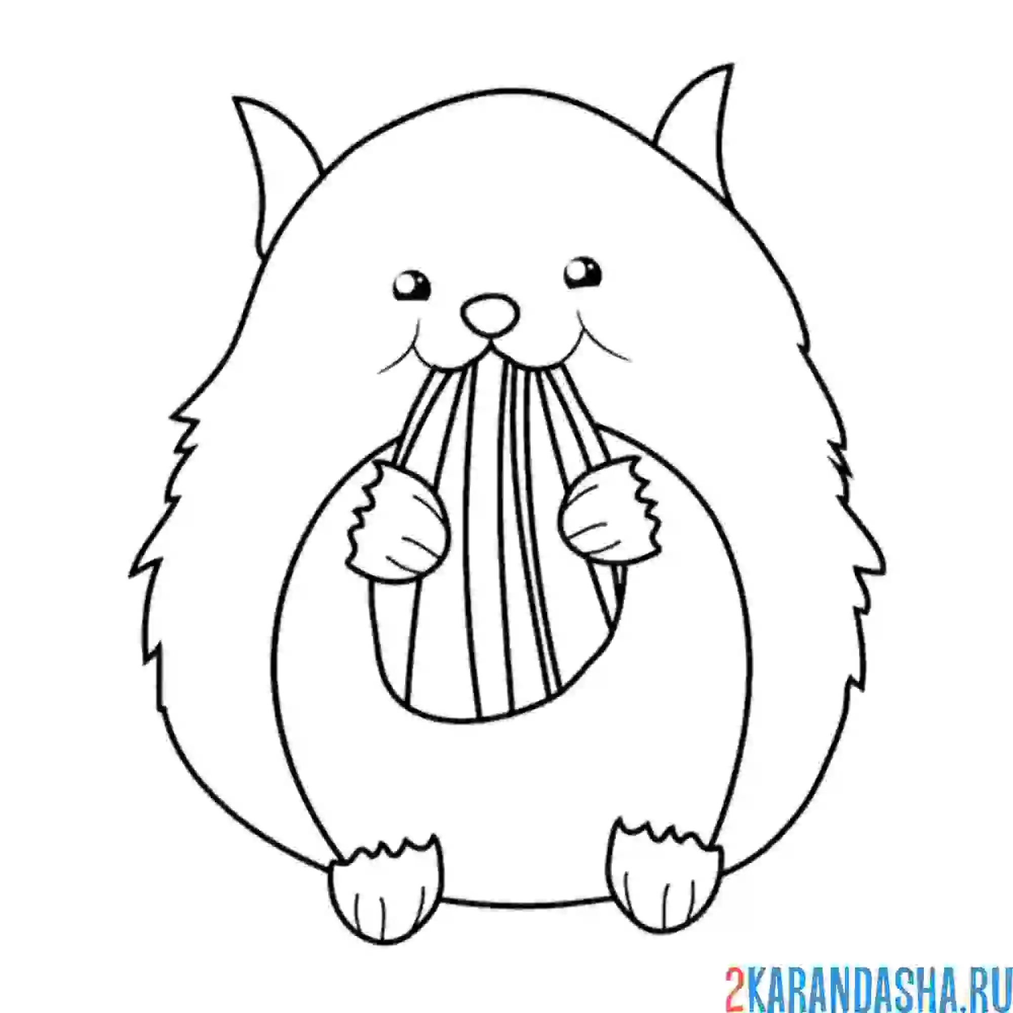 Раскраска хомят жует семечку