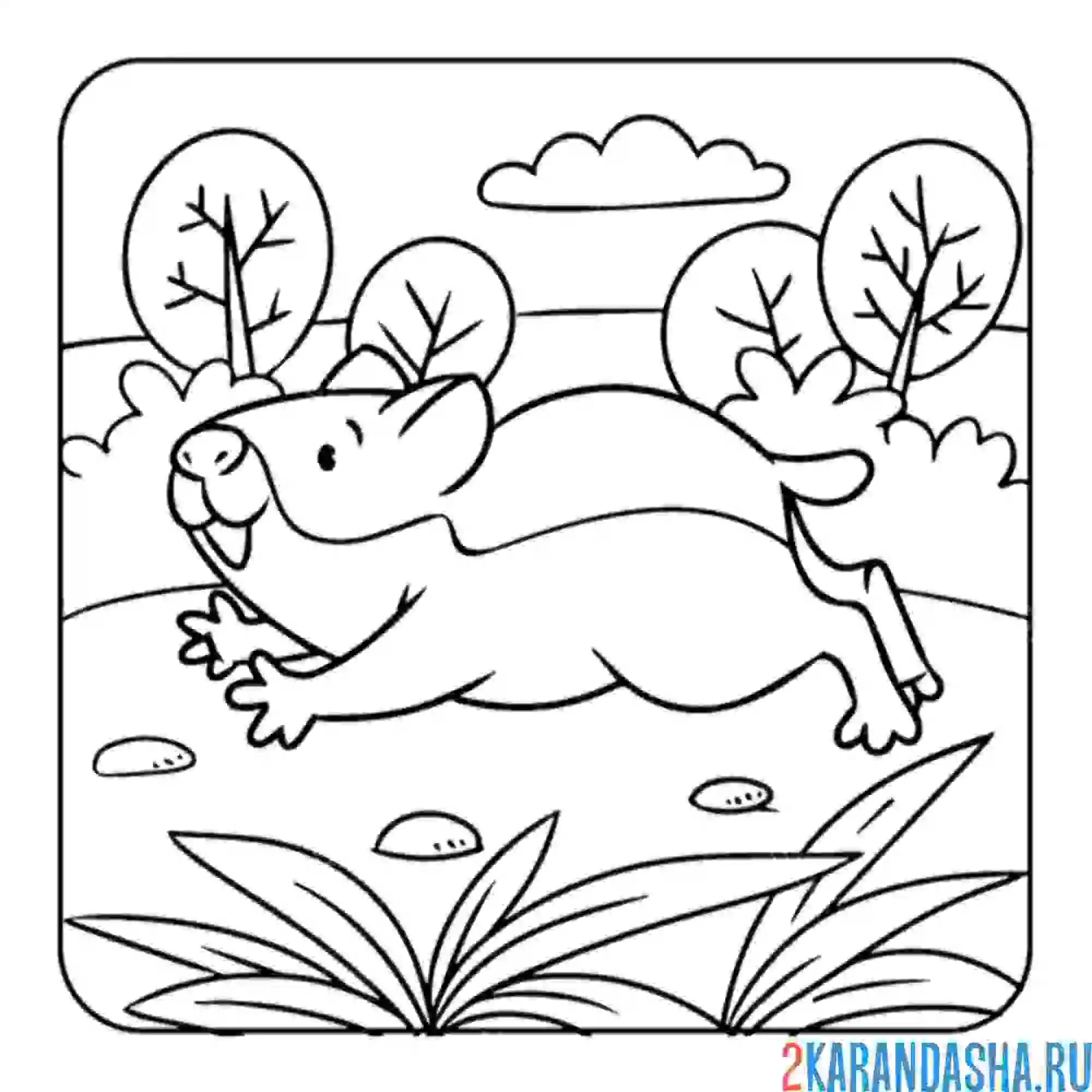 Раскраска хомяк бежит по лесу