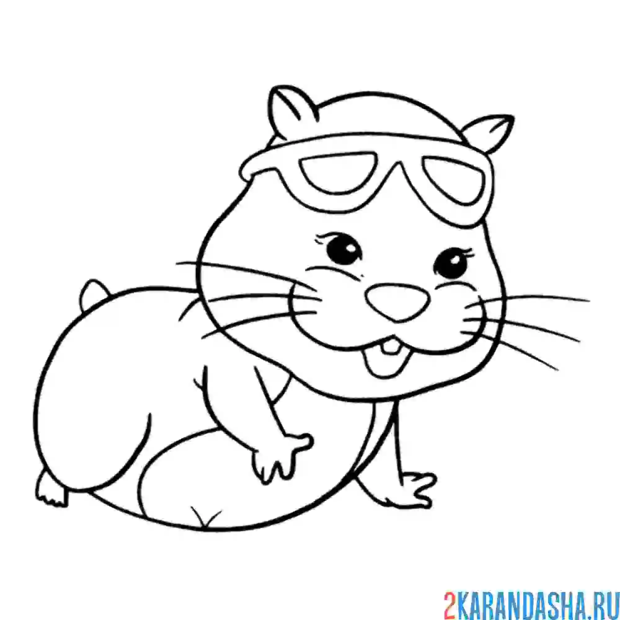 Раскраска хомяк и очки