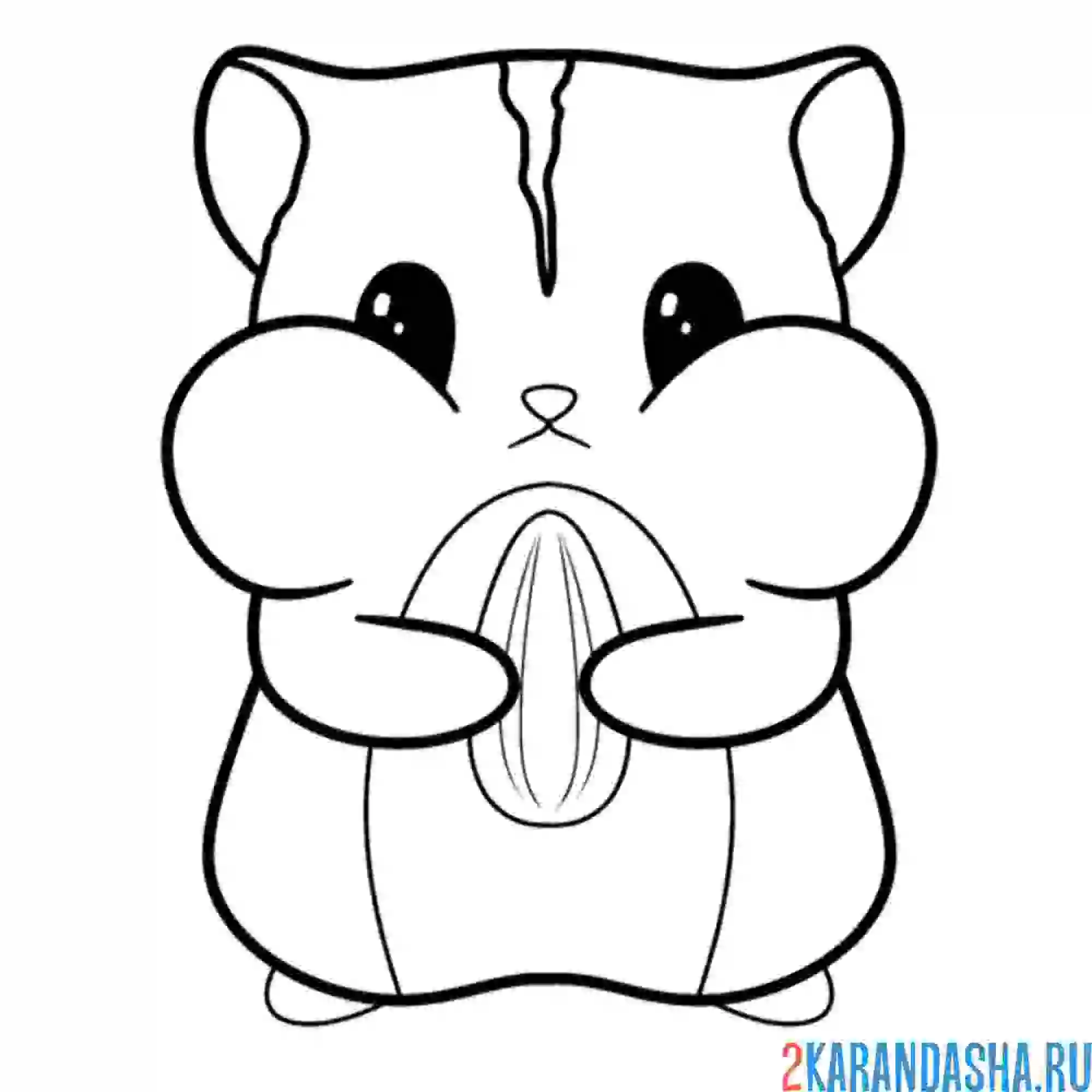 Раскраска хомяк с семечкой