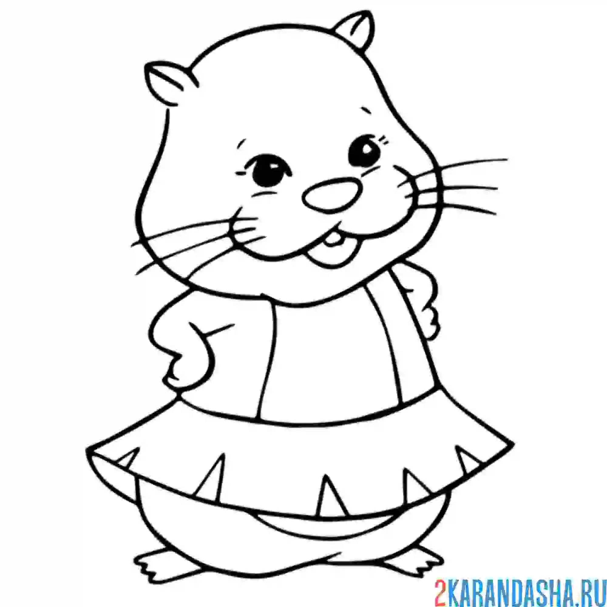 Раскраска хомяк-девочка