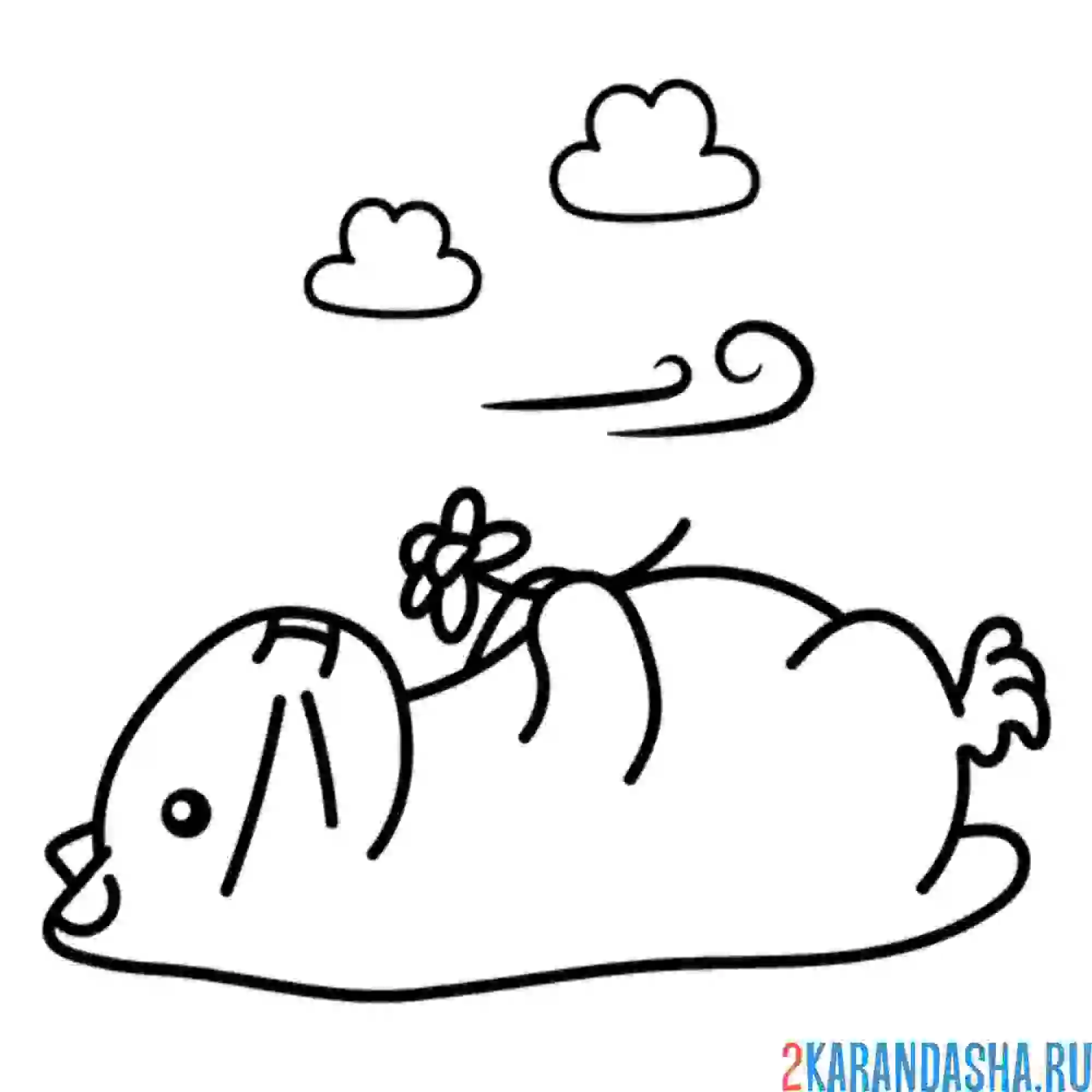 Раскраска хомяк на природе