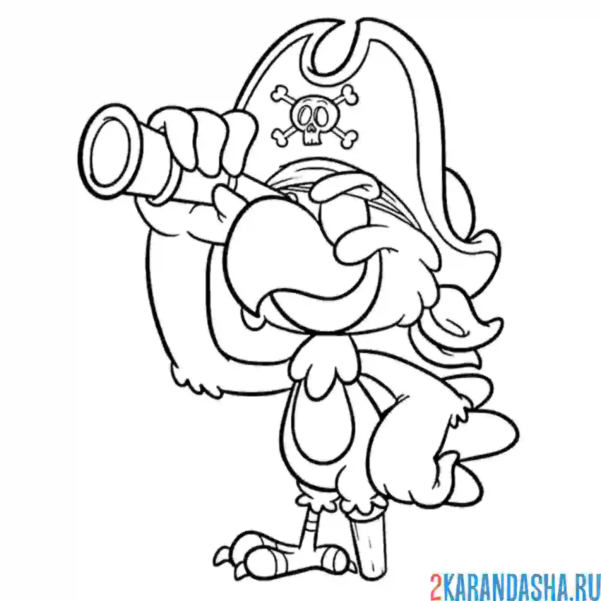 Раскраска пиратский попугвй